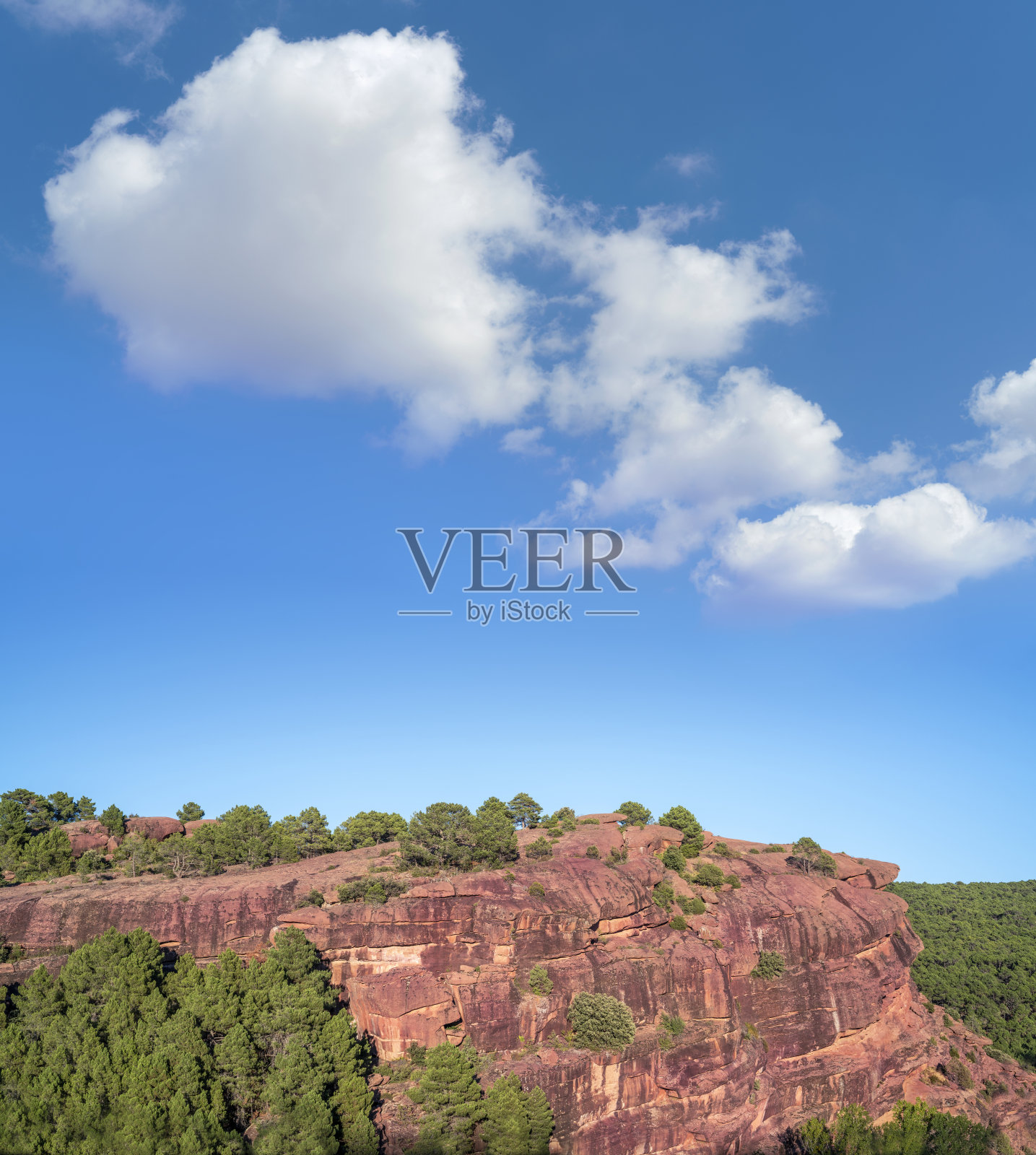 Teruel的Albarracin山脉的Pinares de Rodeno松林照片摄影图片