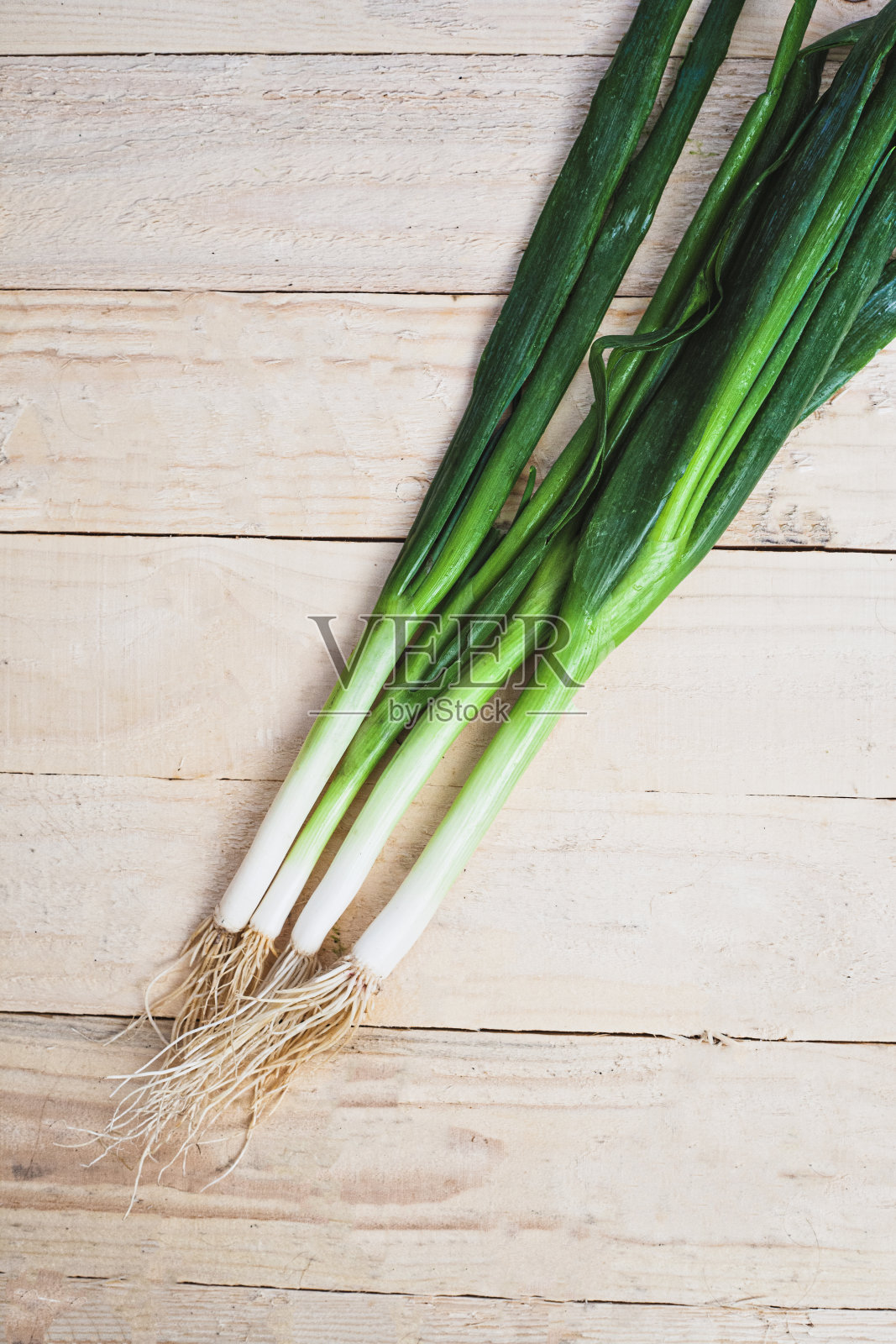 洋葱照片摄影图片