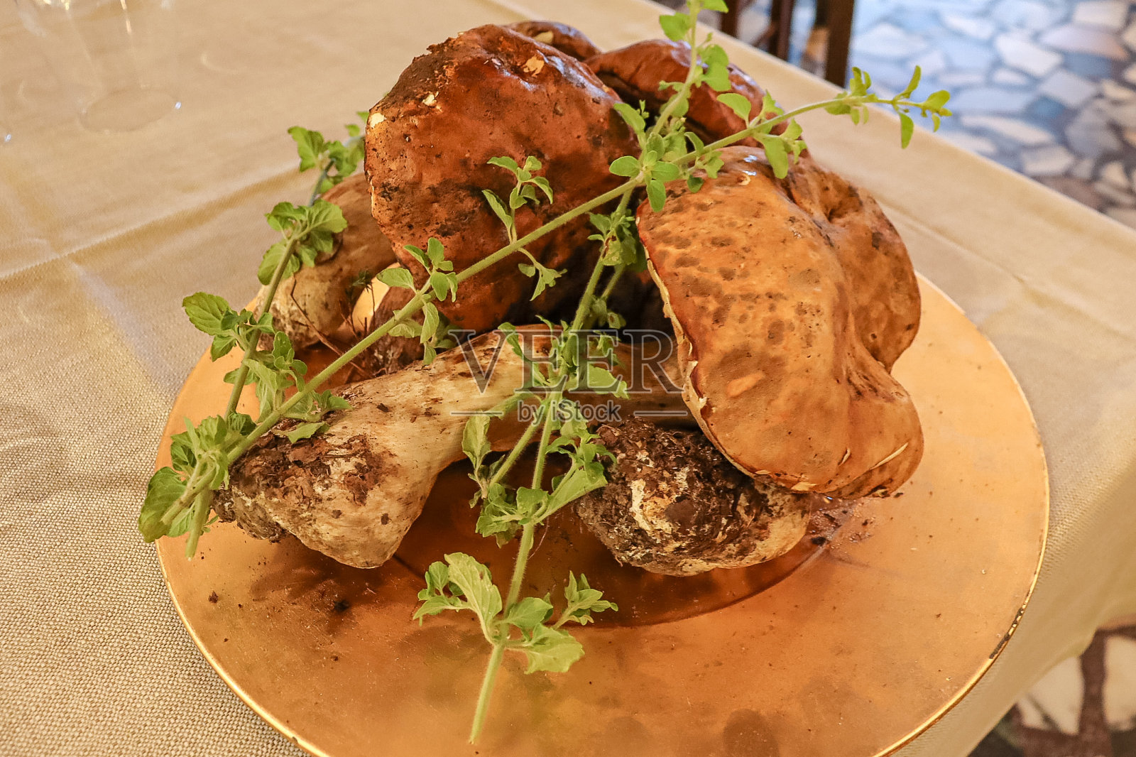 新鲜的香菇照片摄影图片