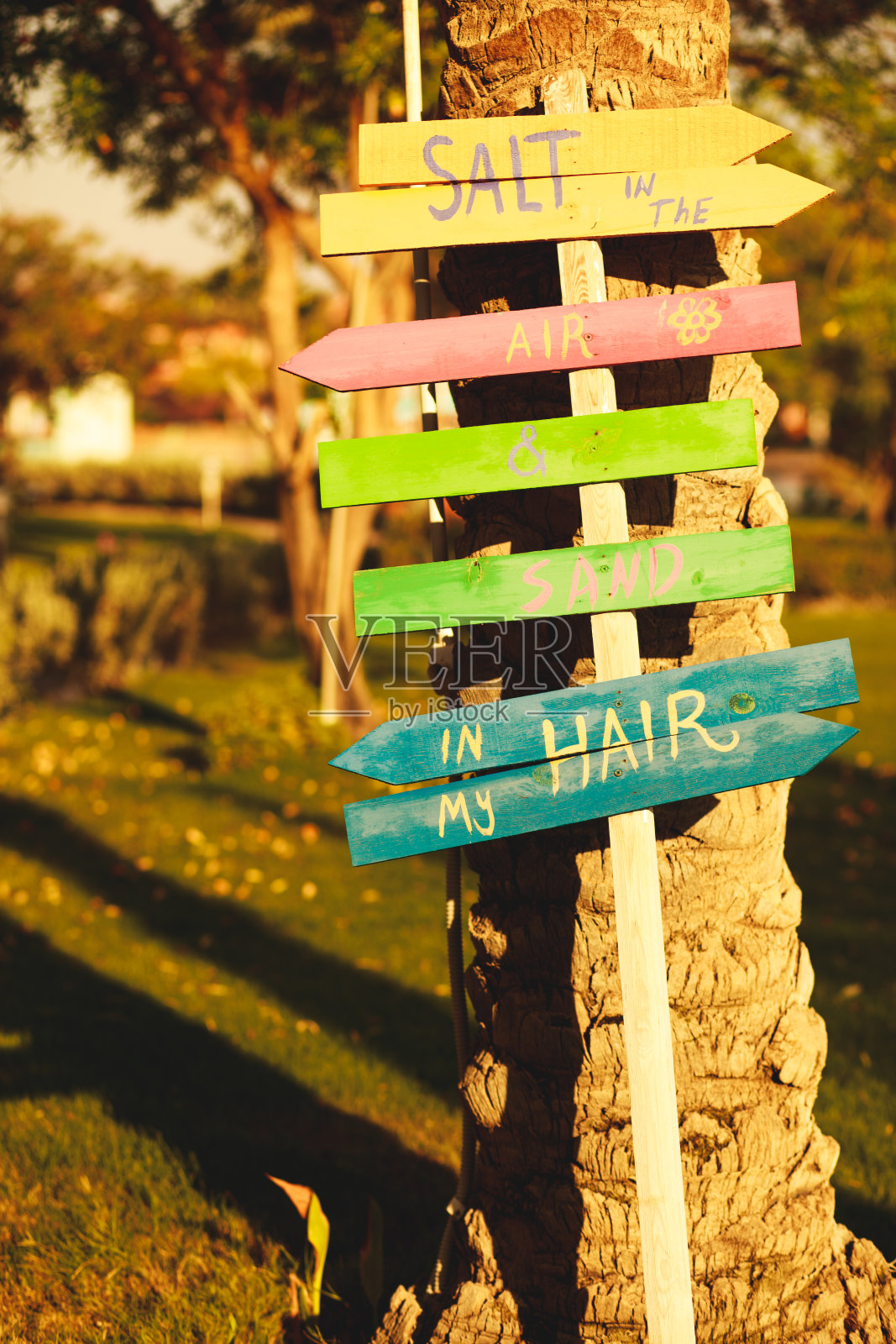 “空气中弥漫着盐，头发上沾满了沙”标牌照片摄影图片