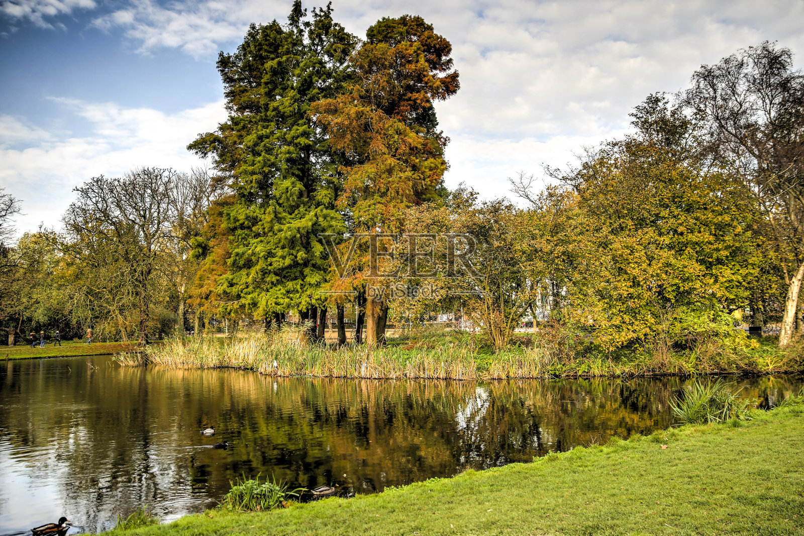 阿姆斯特丹运河沿线的建筑和景观照片摄影图片
