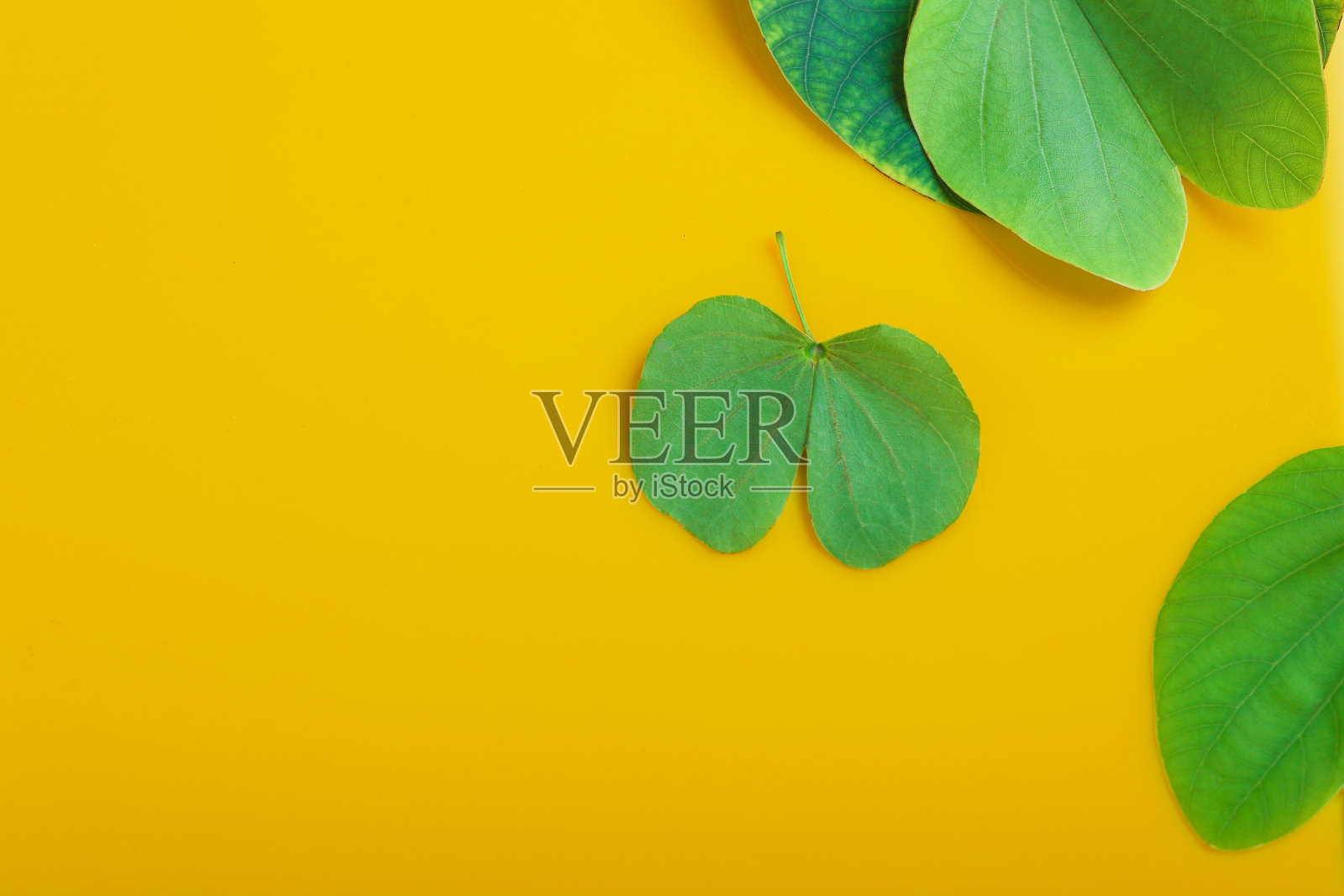 印度节日杜塞赫拉，绿叶和大米照片摄影图片