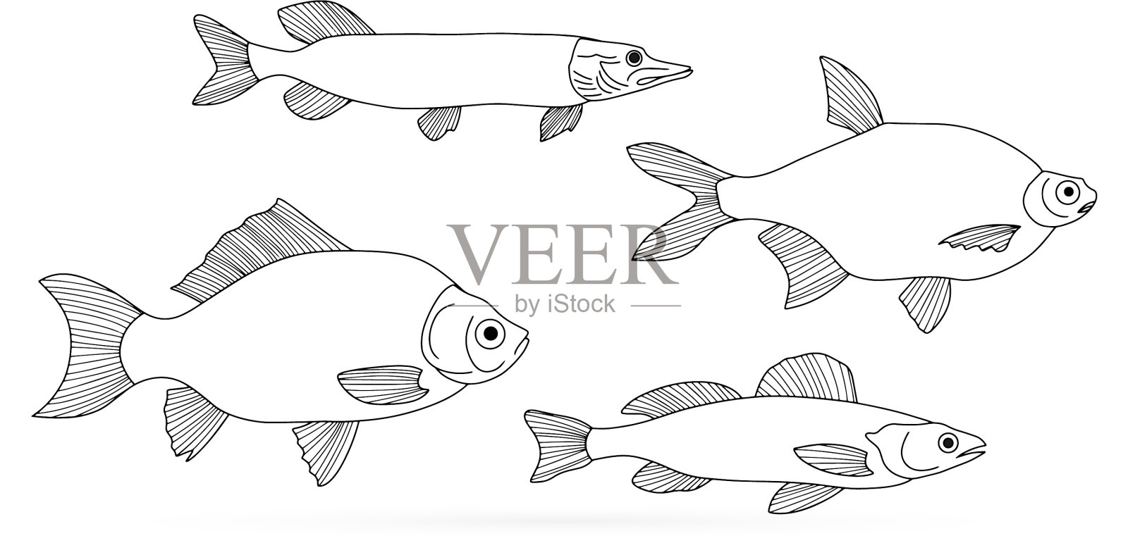 涂鸦鱼孤立地设置在白色轮廓派克插画图片素材