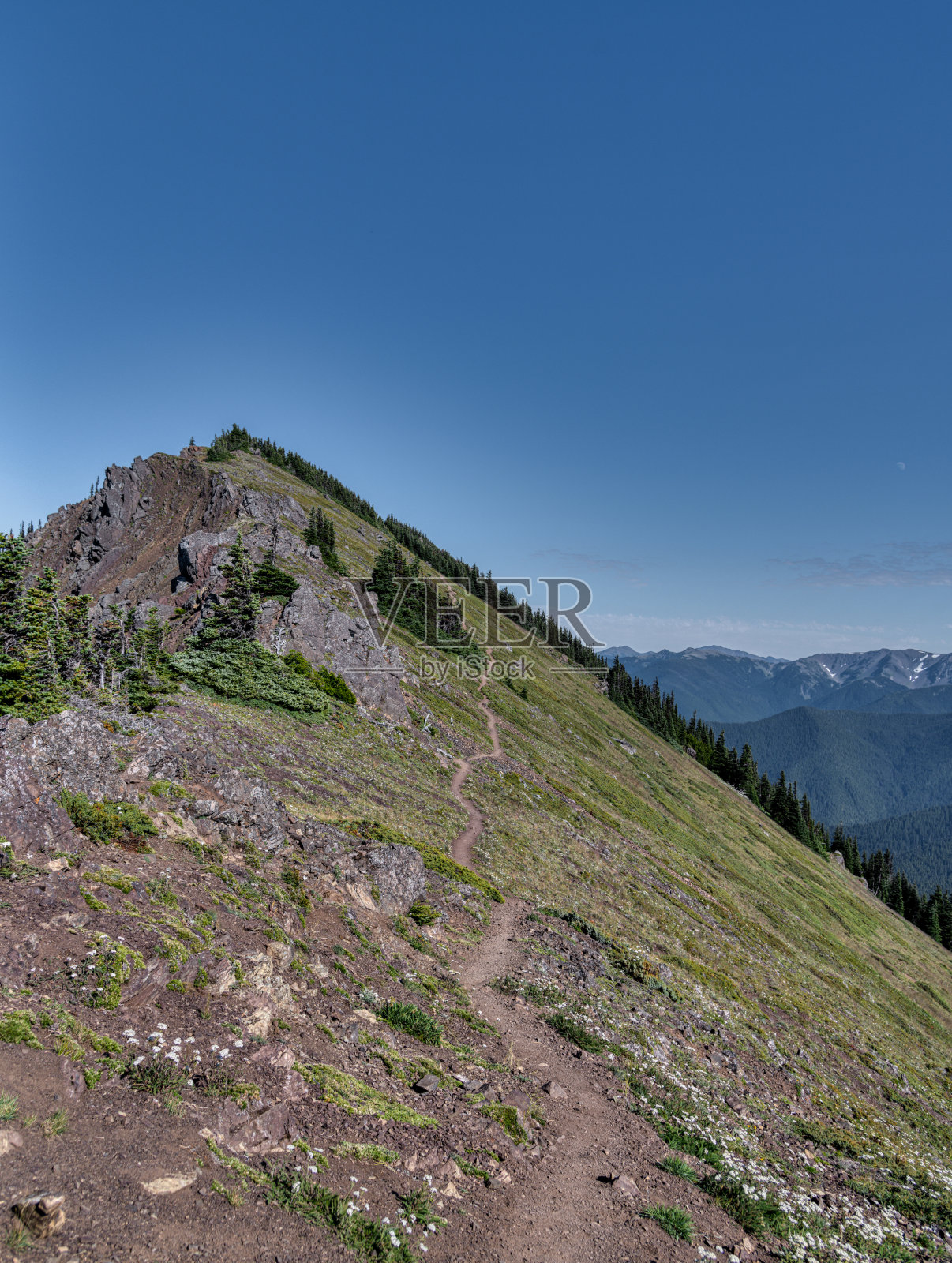 奥林匹克国家公园照片摄影图片