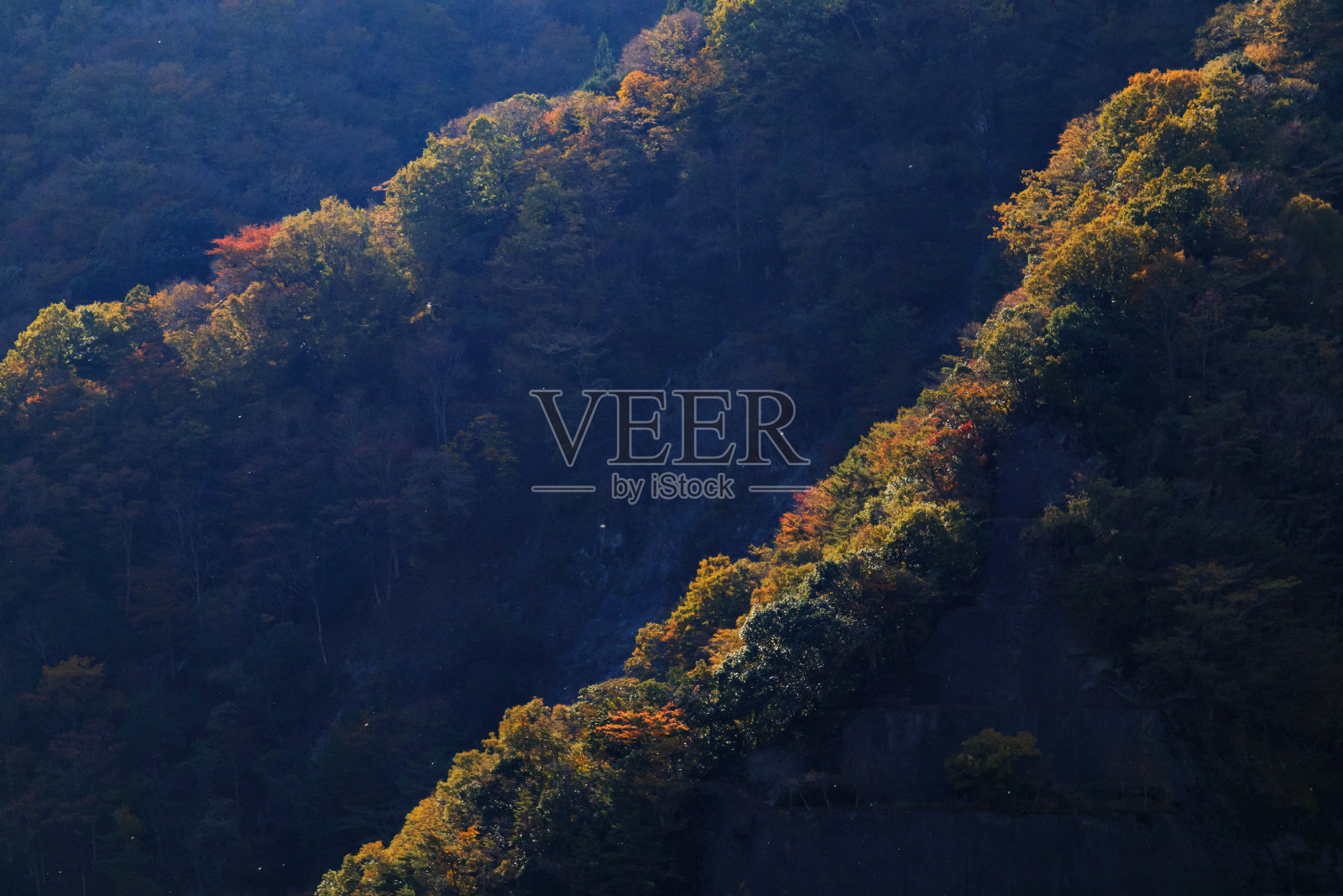 Tanzawa在秋天照片摄影图片