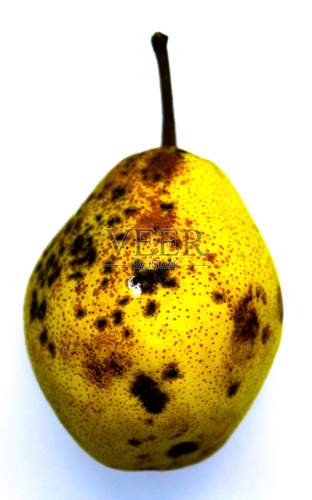 美丽的黄色梨子在白色的背景。白色背景上有孤立的黑点的黄色梨。照片摄影图片