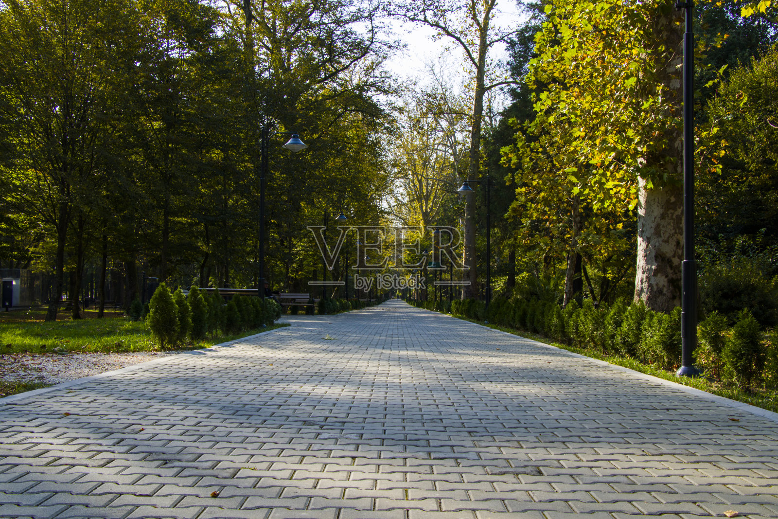 花园和公园，祖格迪迪植物园在乔治亚州。照片摄影图片