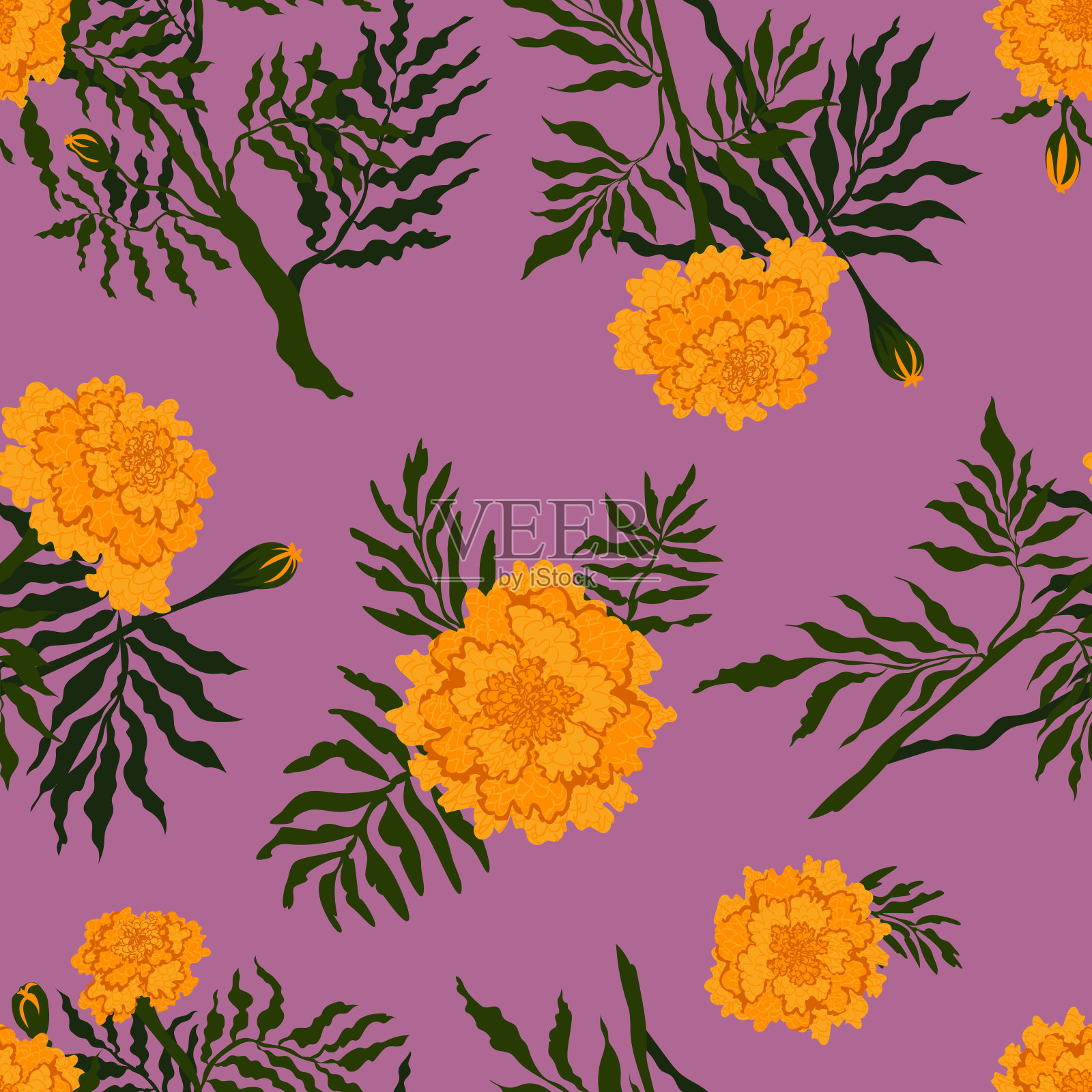 明亮的秋季花卉图案与金盏花在兰花的背景插画图片素材