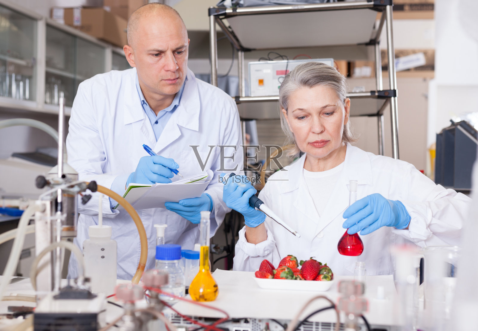 科学家在检查农产品时做笔记照片摄影图片