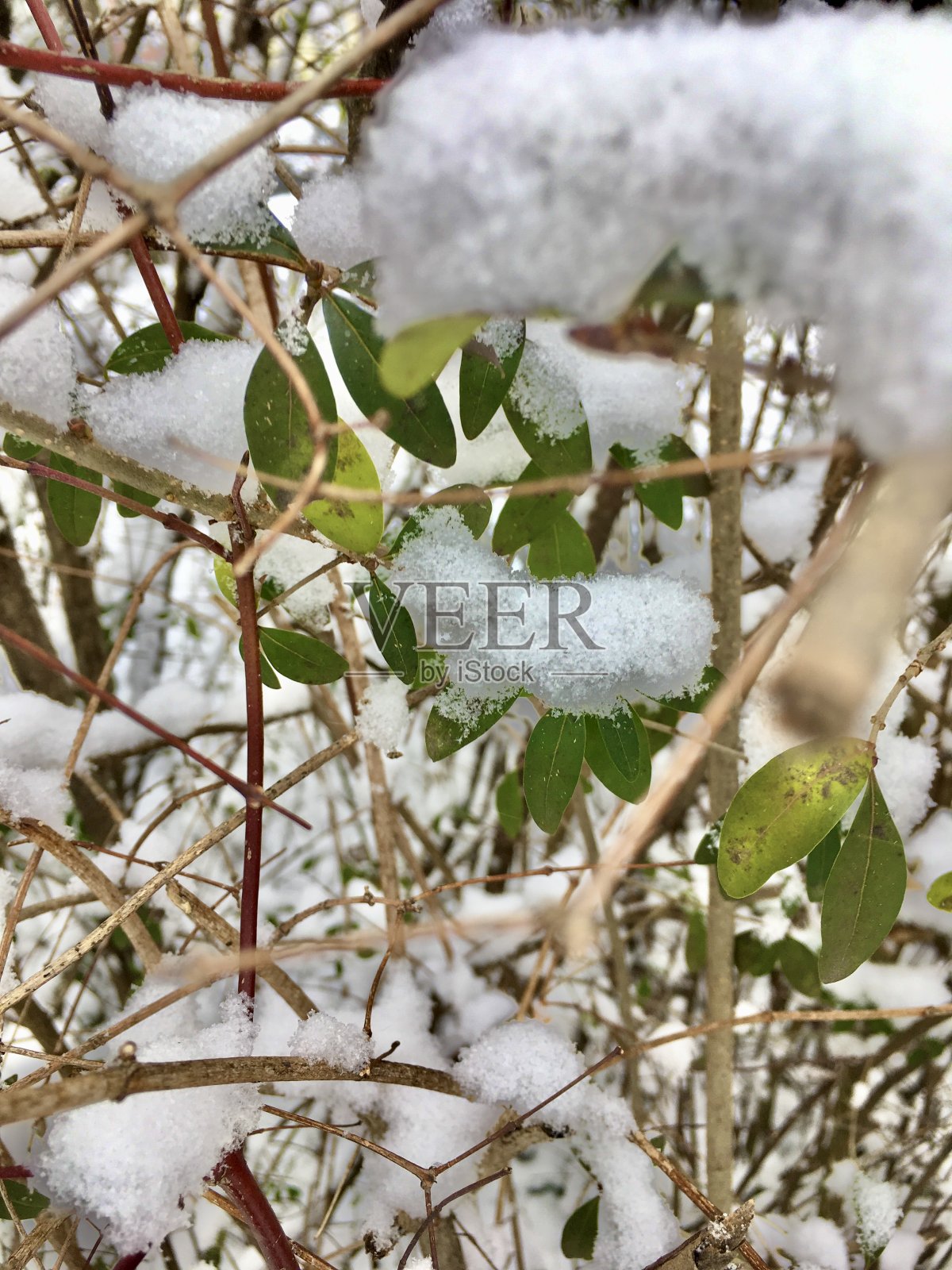 西公园是德国慕尼黑的一个大型城市公共公园。它由景观设计师Peter Kluska设计，于1983年完工。照片摄影图片