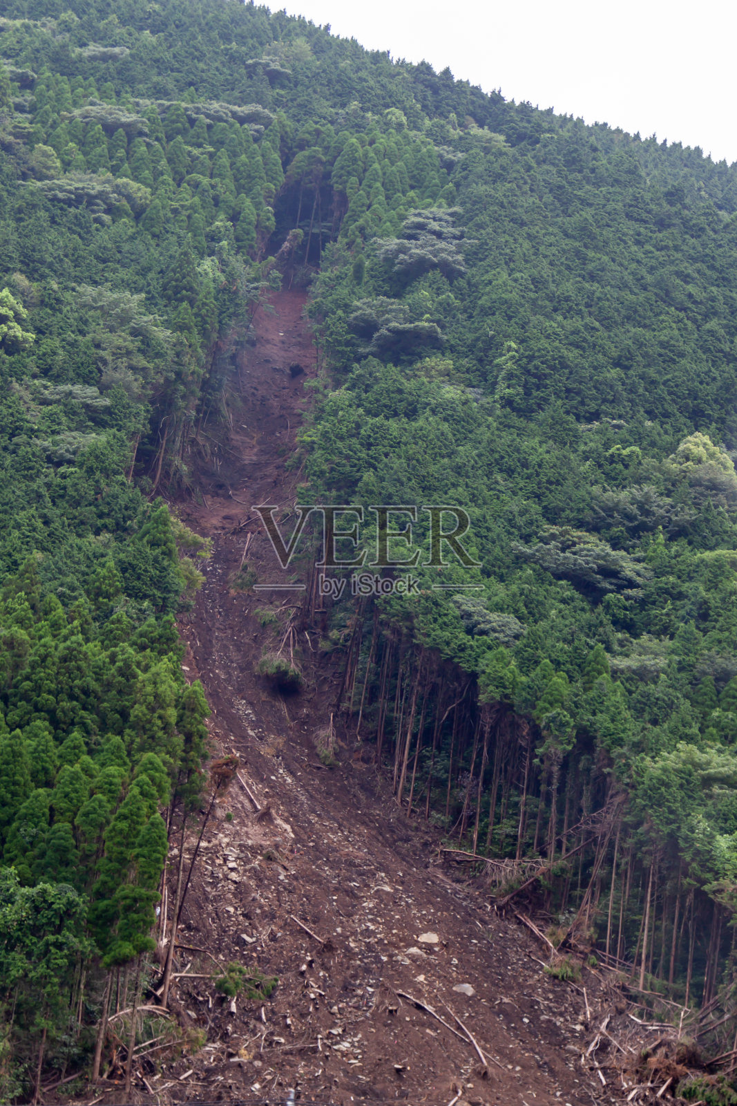 滑坡照片摄影图片
