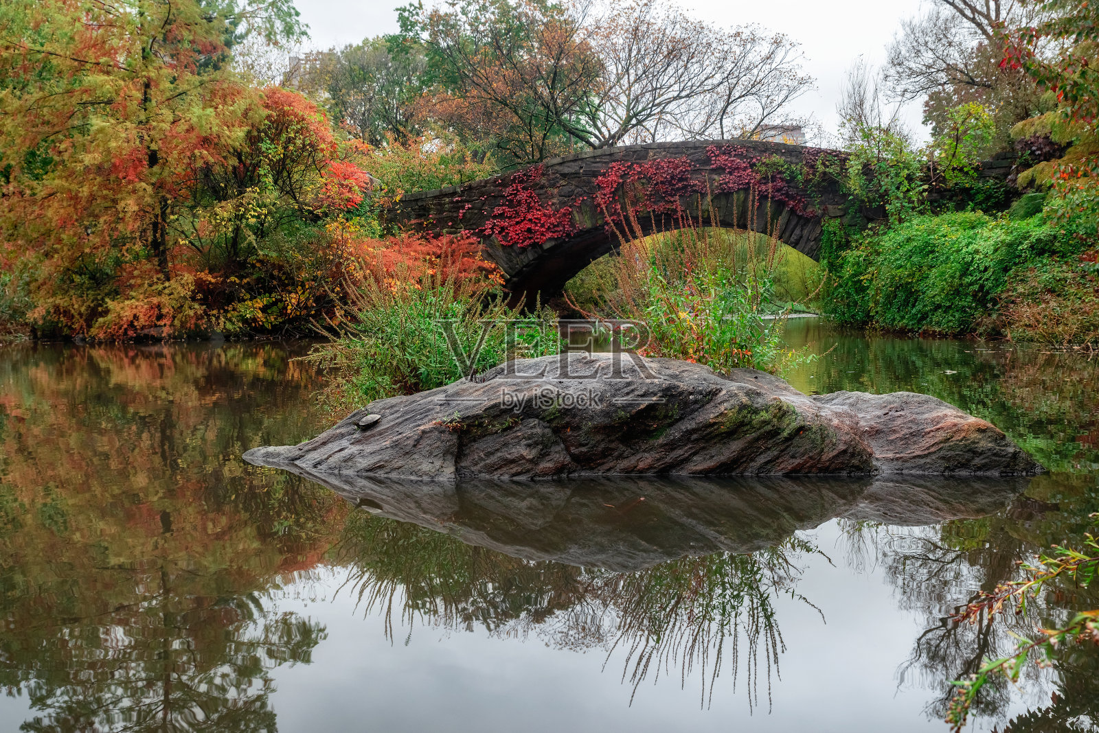 中央公园的秋景。纽约市。美国照片摄影图片