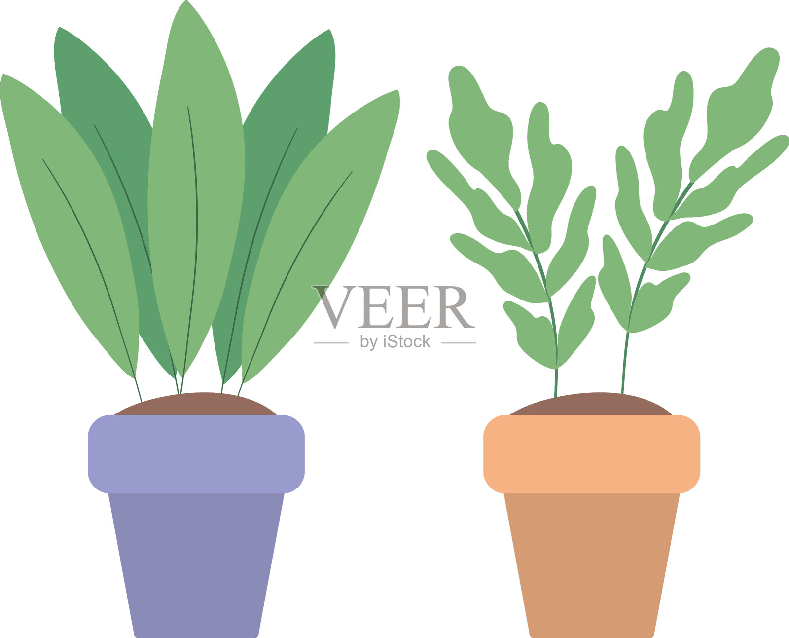 隔离植物内盆栽设计插画图片素材