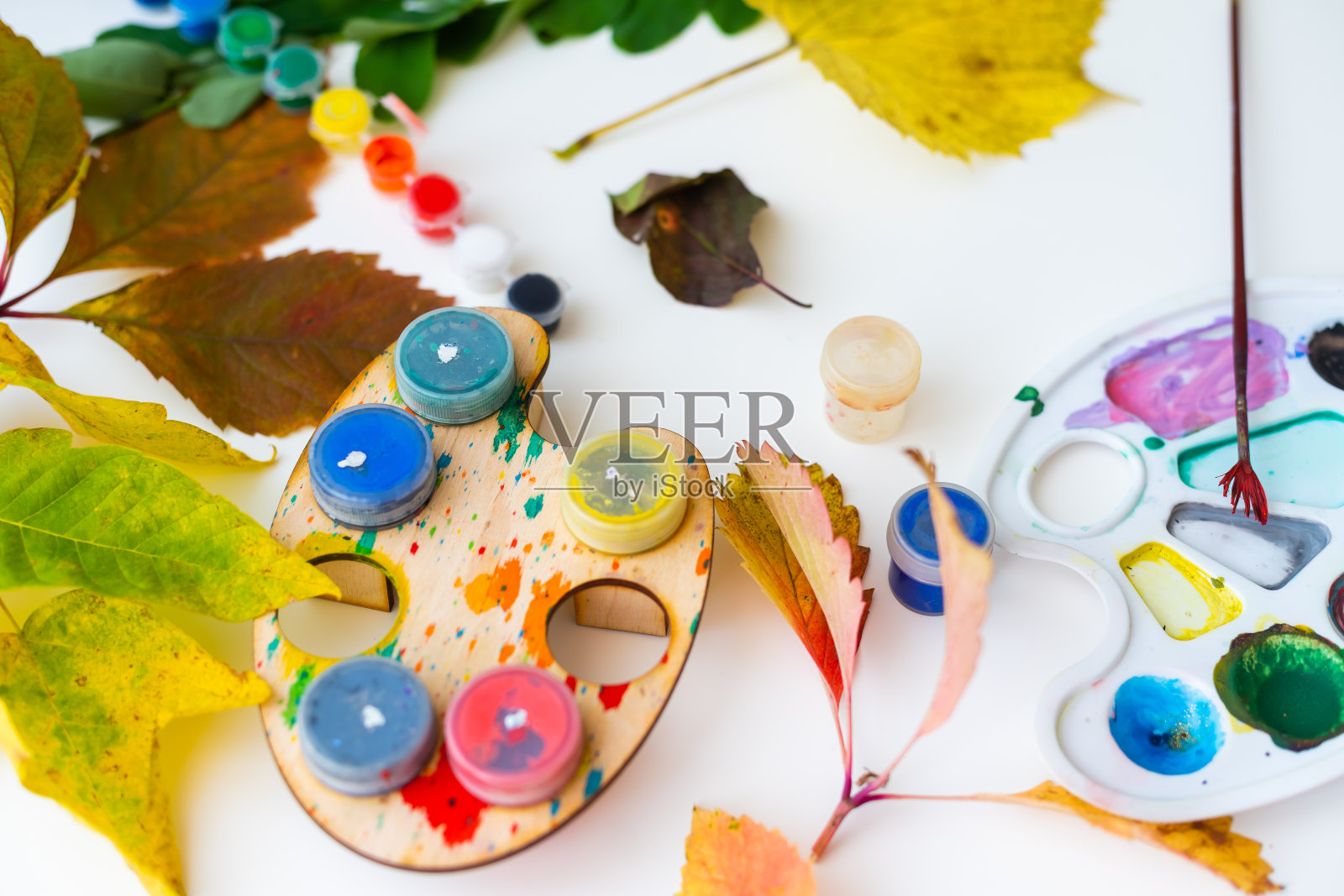 女孩在餐桌上用颜料在落叶上作画。照片摄影图片