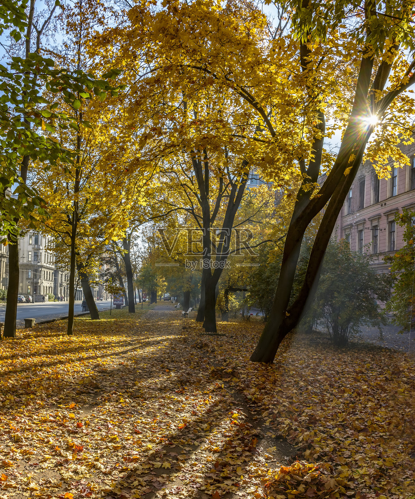 漫步在圣彼得堡秋天的卡曼努斯托夫斯基景色中。照片摄影图片