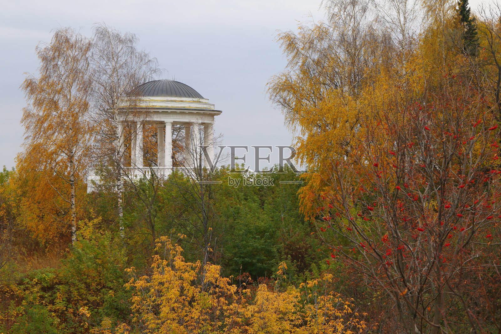 公园里的圆形大厅。照片摄影图片