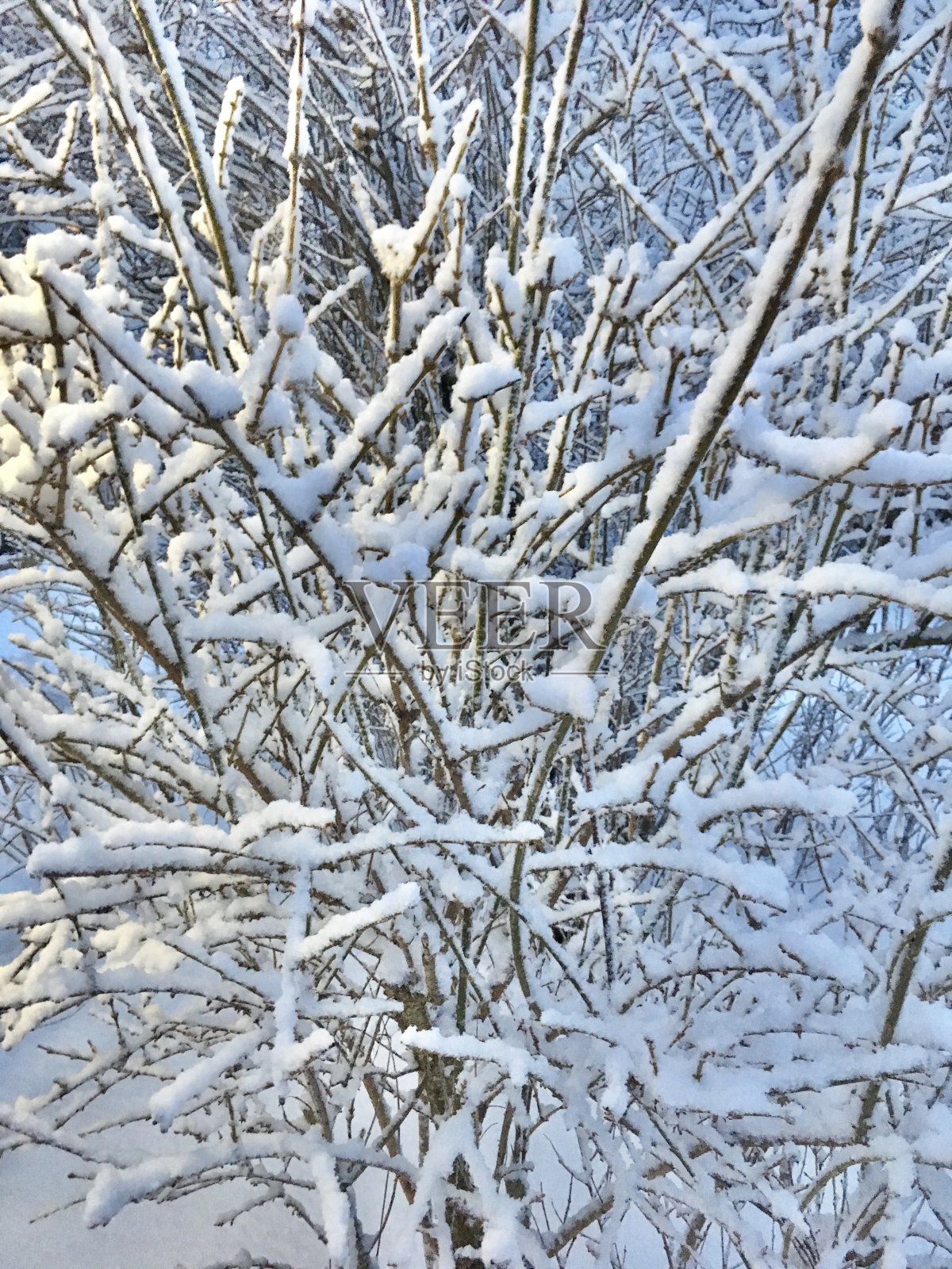 慕尼黑城下着雪。照片摄影图片