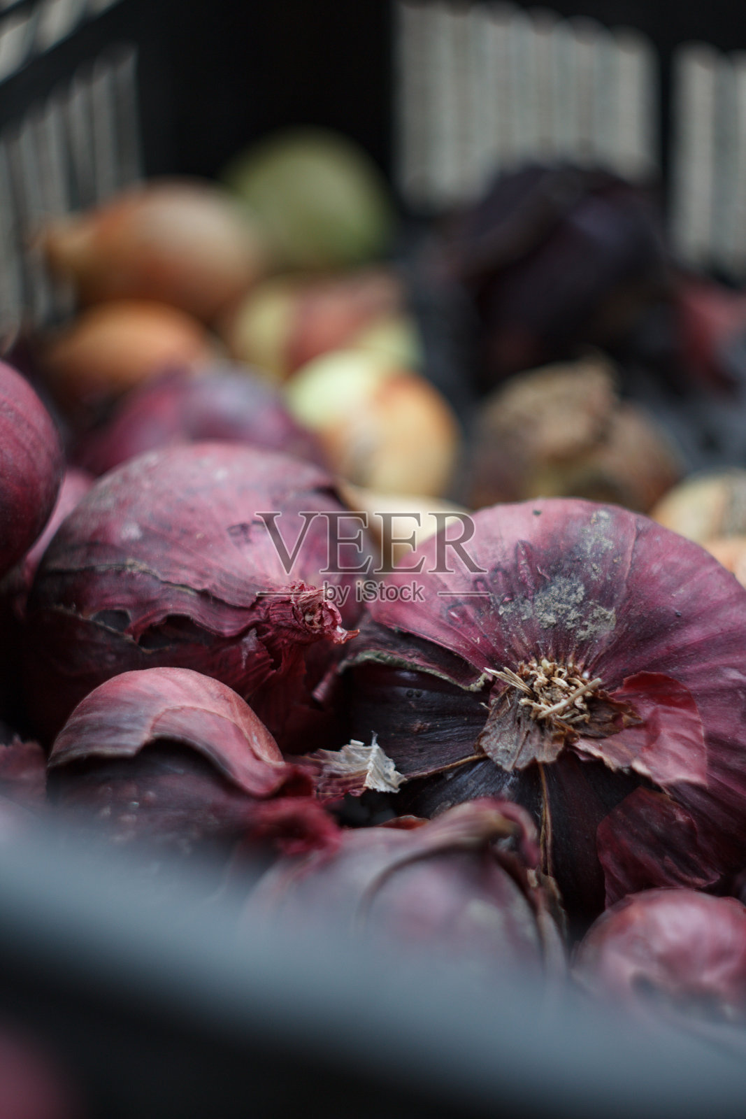 红洋葱篮-有机农业照片摄影图片