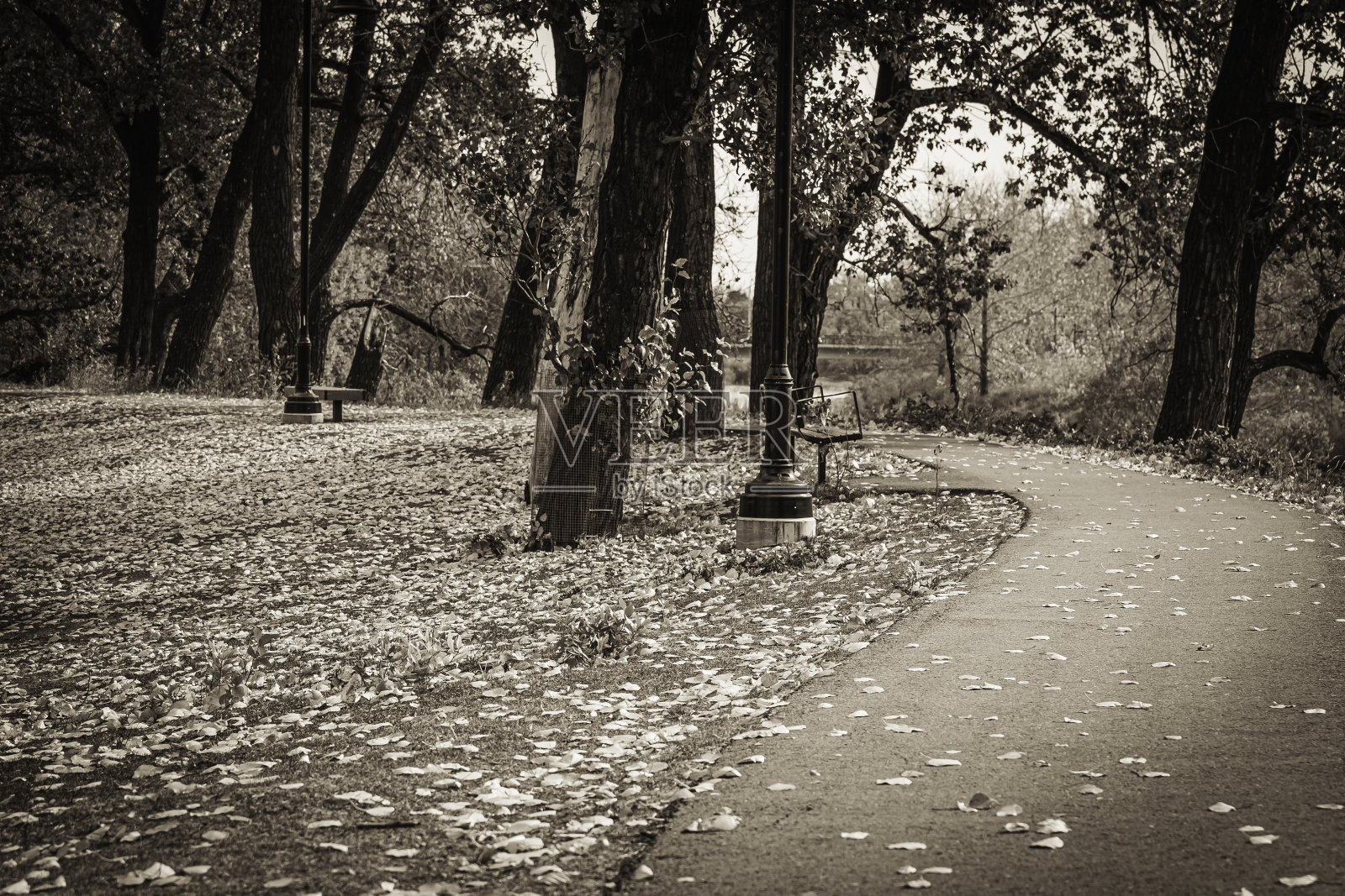 公园里的秋色随着季节的变化而变化照片摄影图片