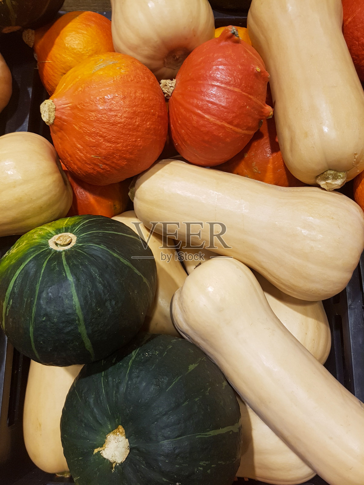 各种颜色的南瓜的混合物照片摄影图片