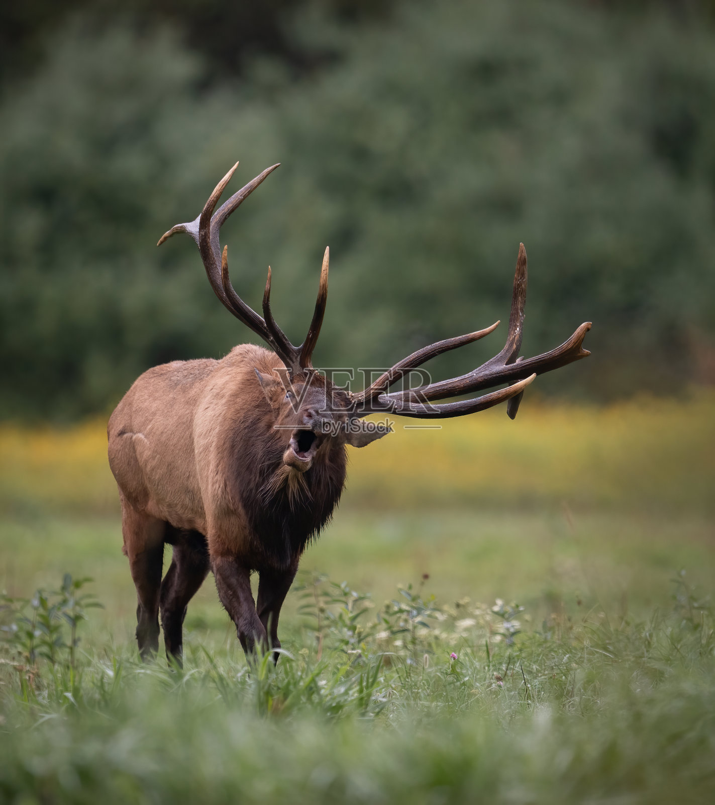 每一个照片摄影图片