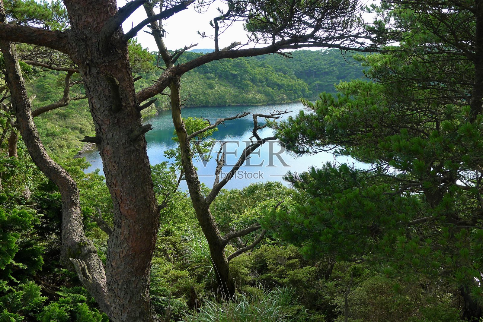 日本的湖照片摄影图片