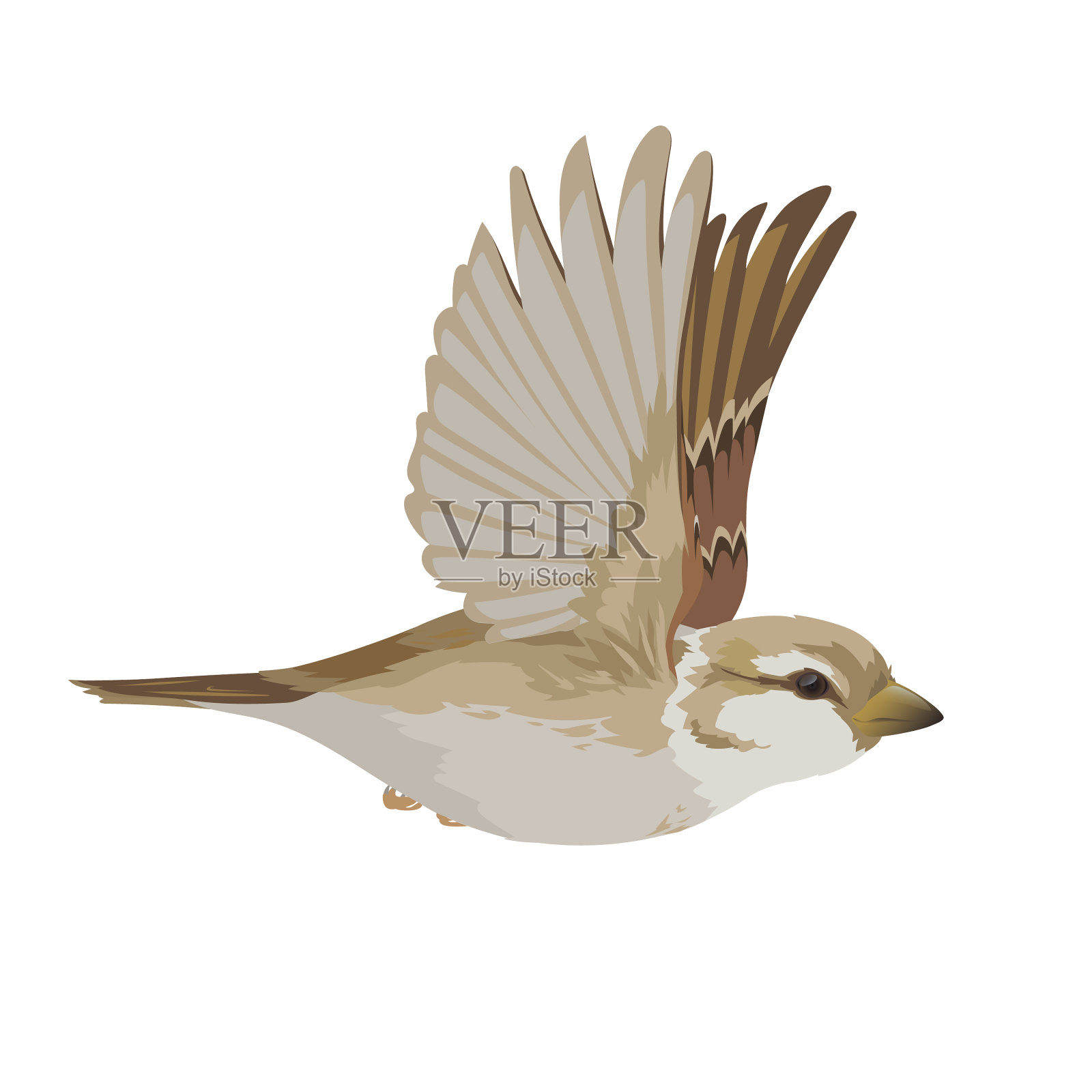 逼真的麻雀飞得五彩缤纷设计元素图片