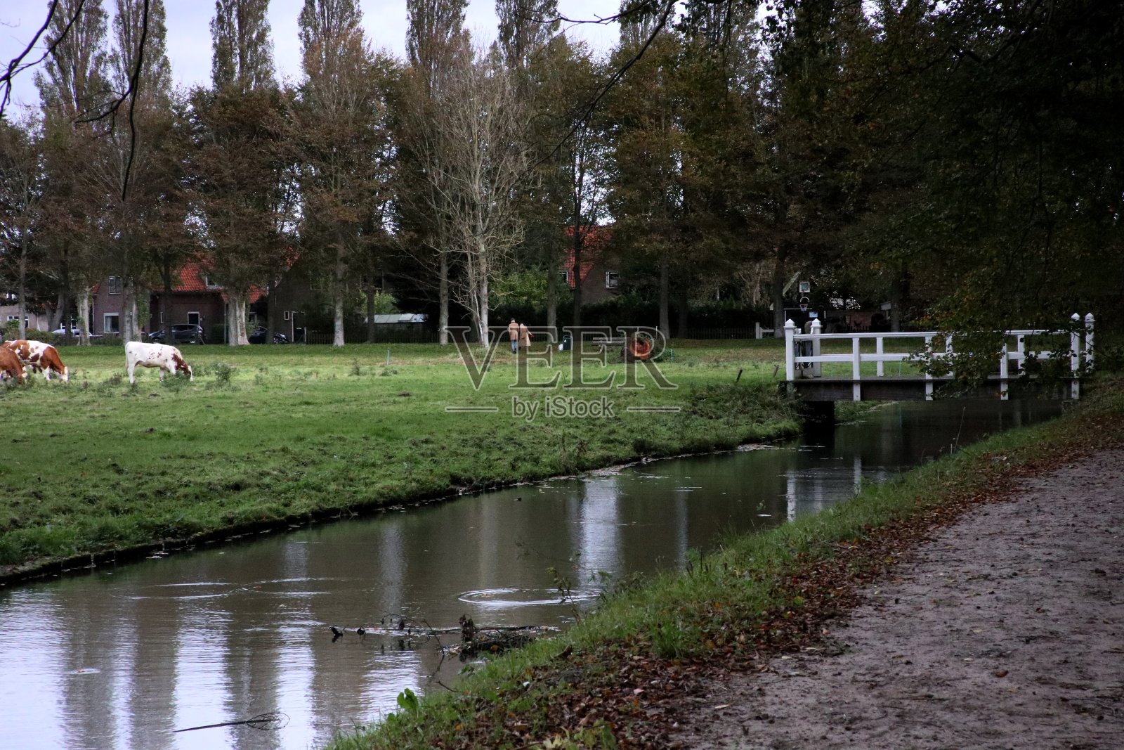 荷兰的秋天照片摄影图片