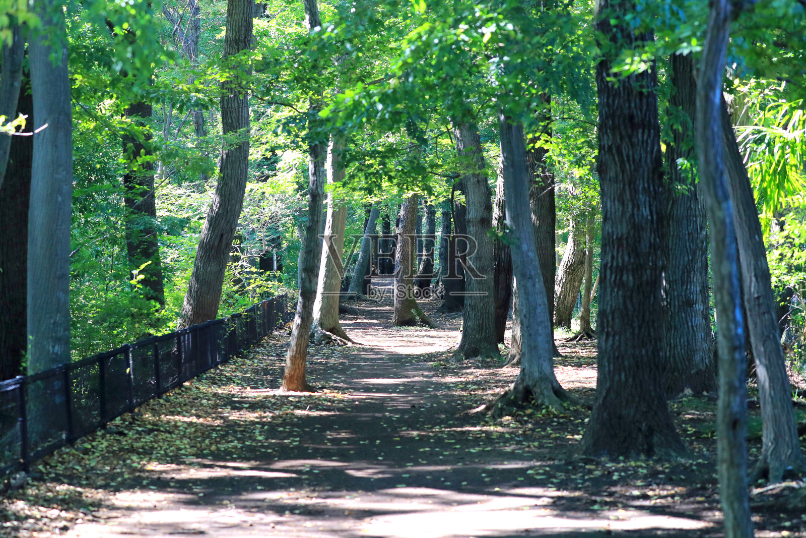一个途径照片摄影图片