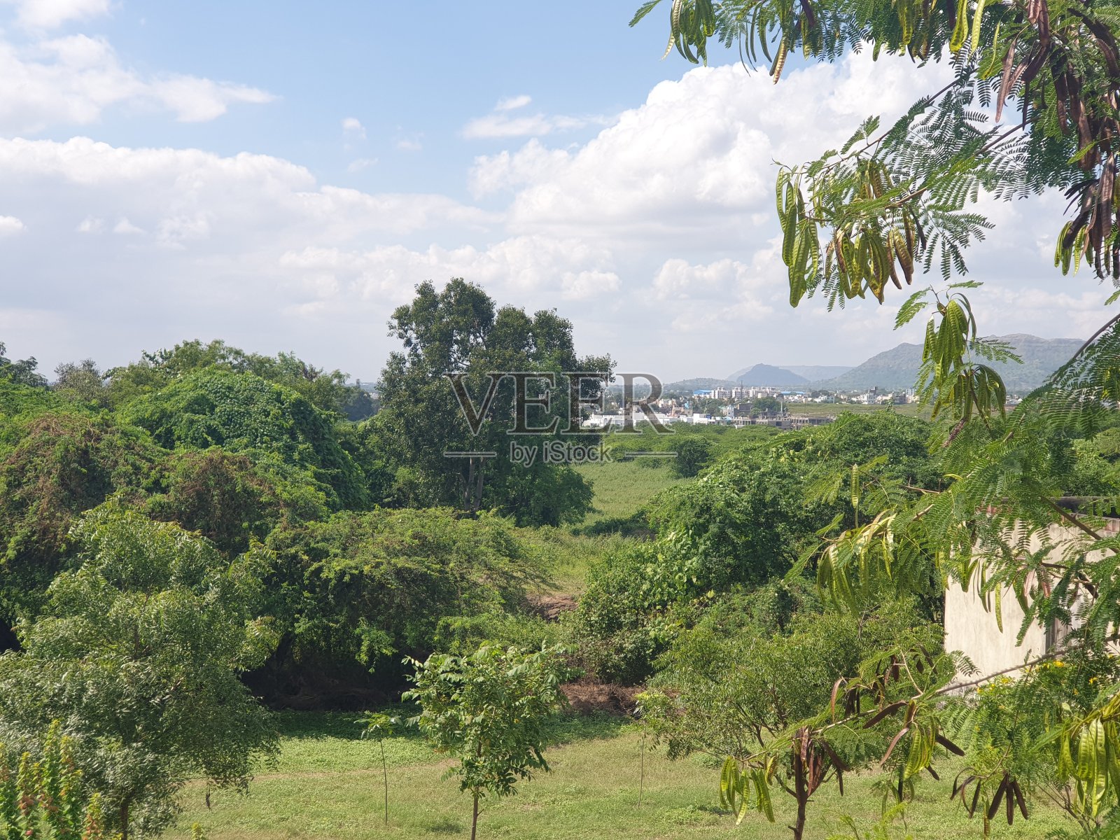 美丽的云彩和树木照片摄影图片