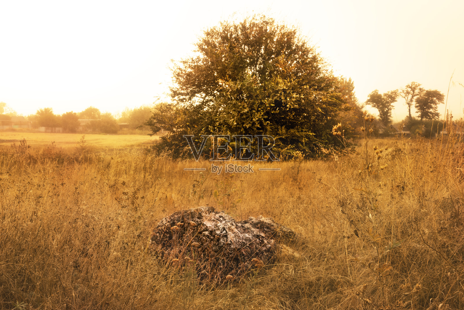 各种各样的景观，有不同和有趣的对象和组成。照片摄影图片