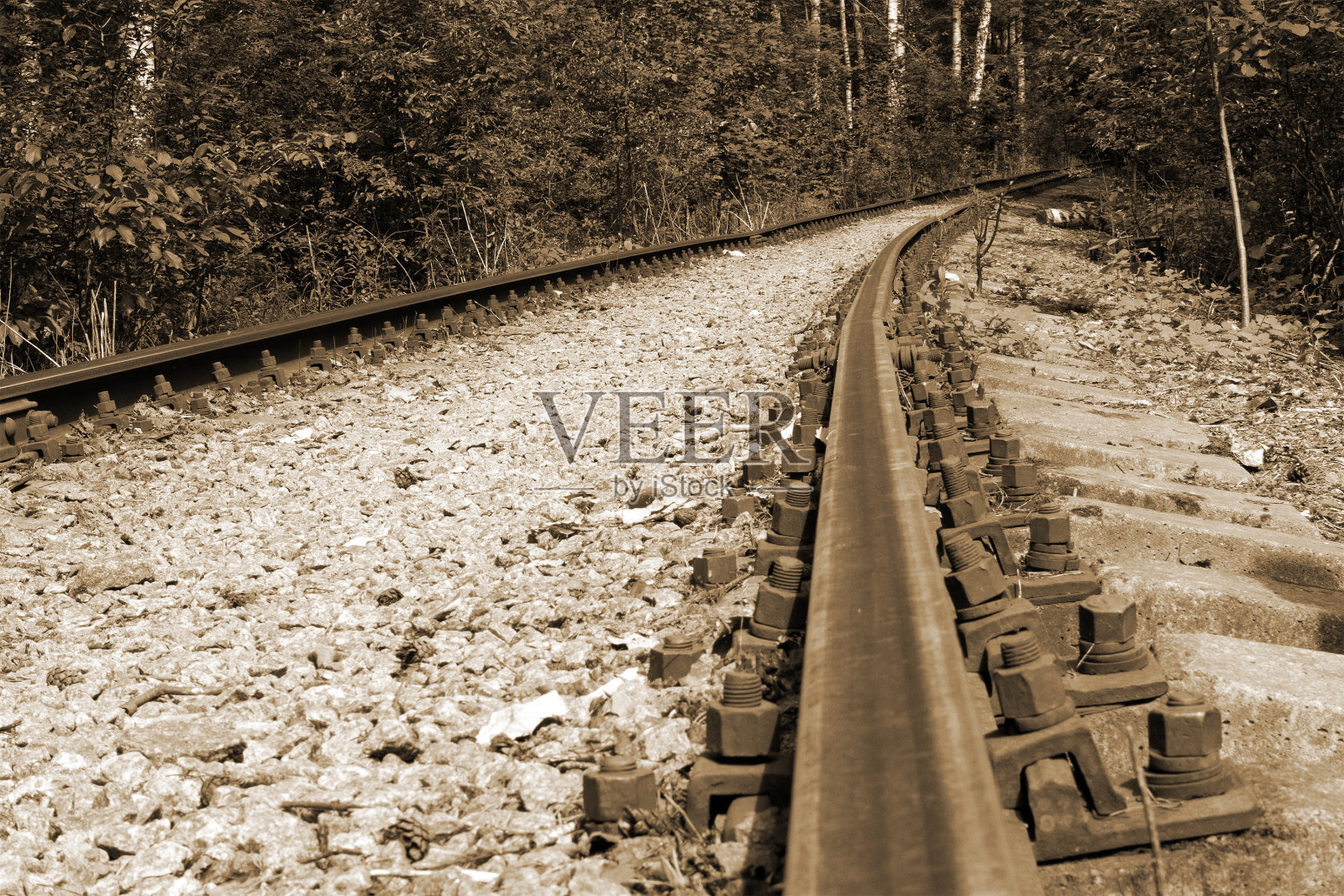 古老的森林铁路轨道与生锈的轨道延伸到远处照片摄影图片