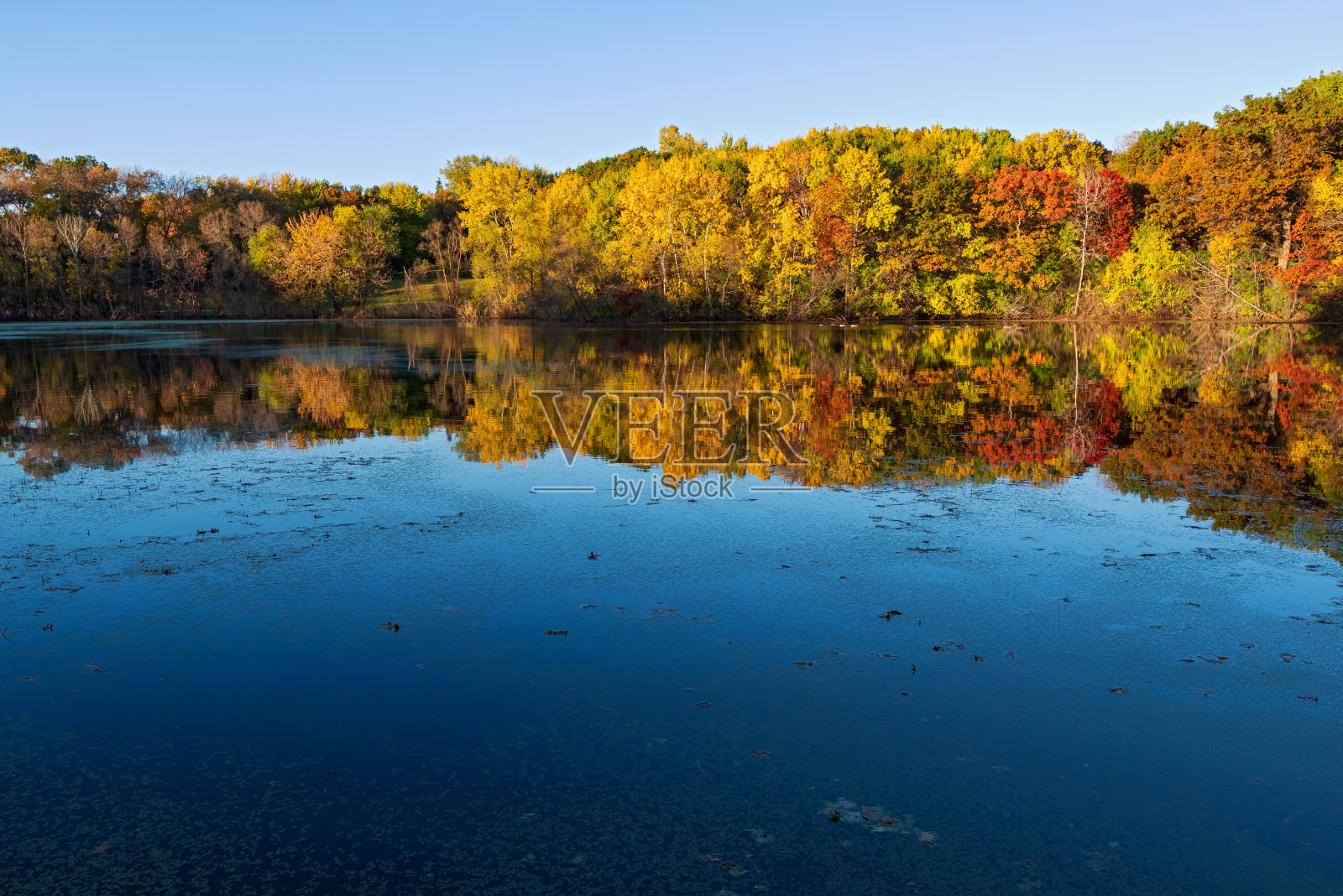 马塞勒公园的林地和秋天的倒影照片摄影图片