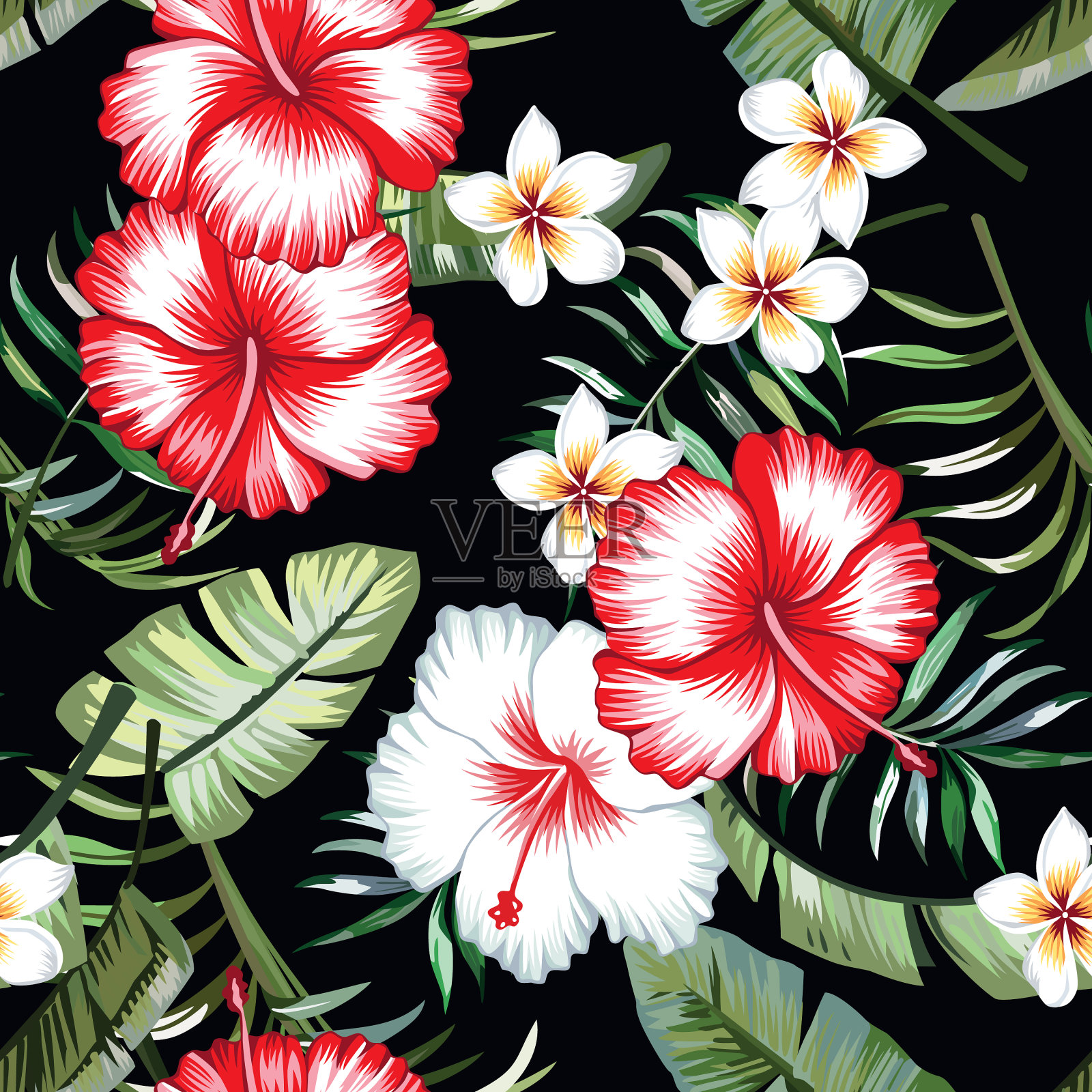 热带花卉叶黑色背景无缝插画图片素材