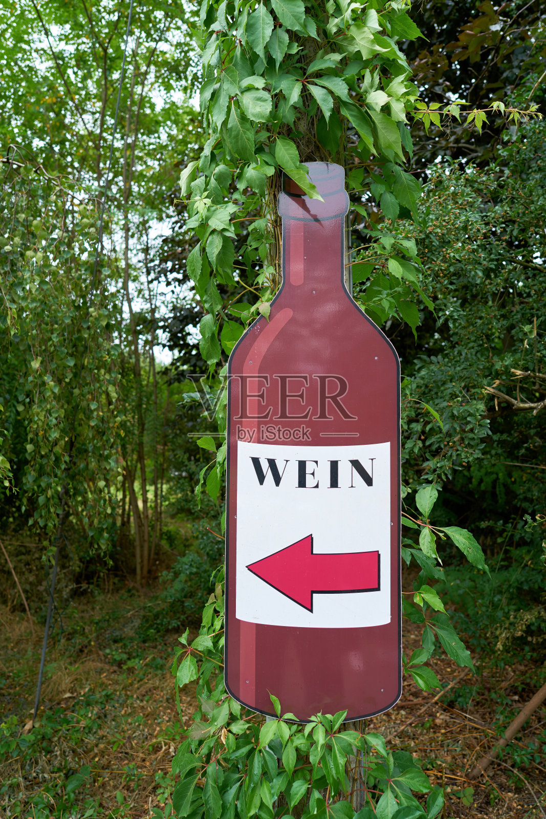 酒庄商店指南照片摄影图片