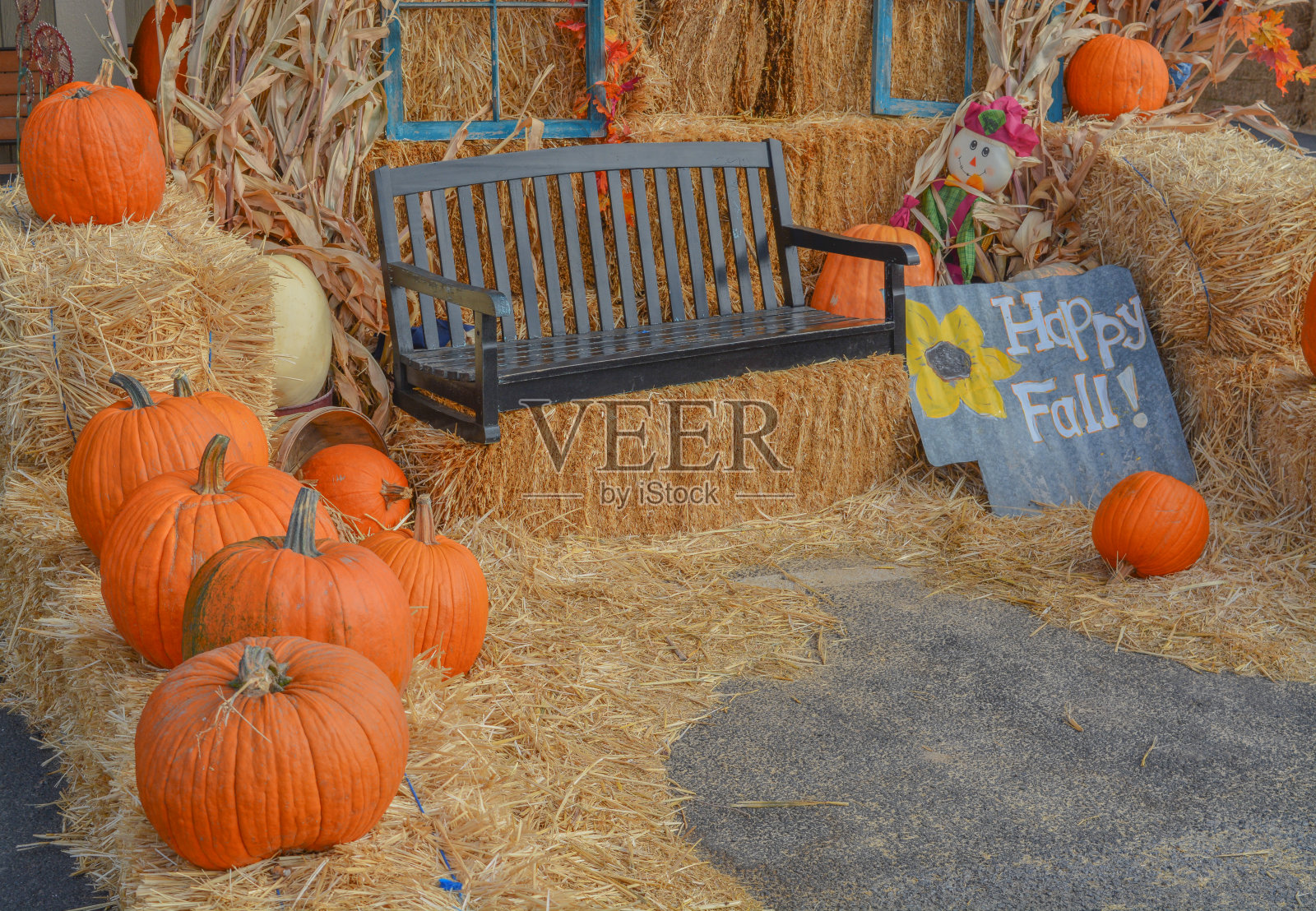 快乐的秋天在南瓜地安大略，马卢尔县，俄勒冈州照片摄影图片