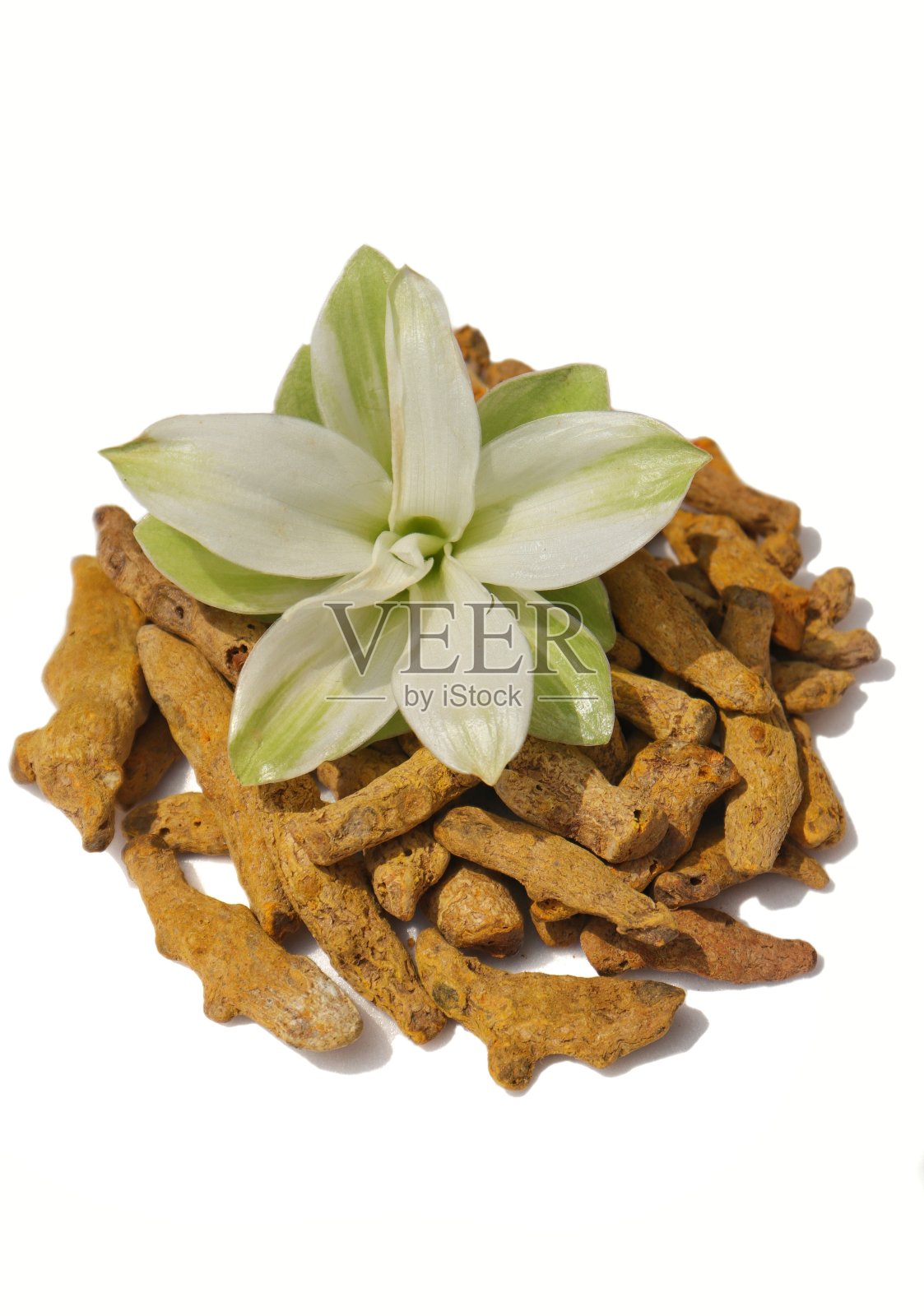 干姜黄根与姜黄花孤立在白色背景，完美的壁纸照片摄影图片