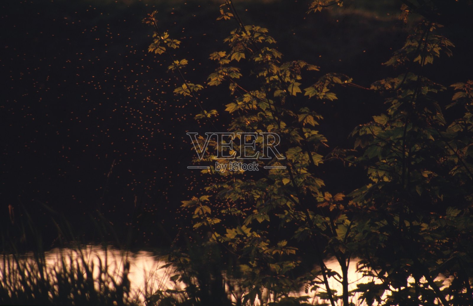 爱尔兰风景照片摄影图片