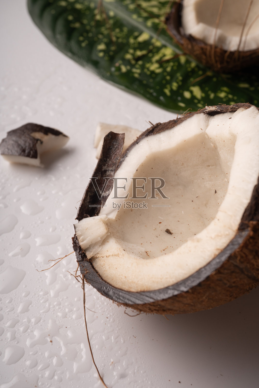 白色的桌子上放着几块剁碎的椰子照片摄影图片