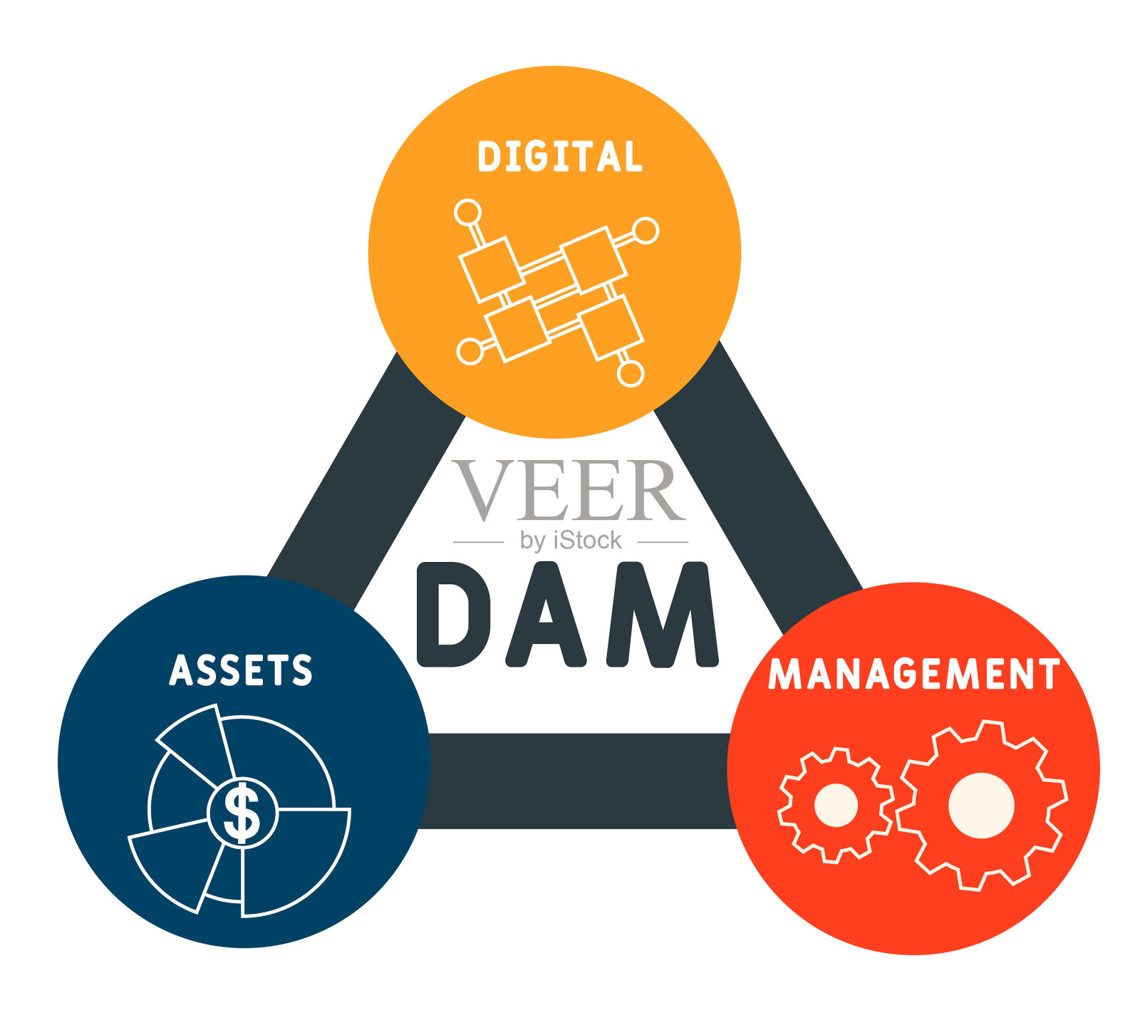 数字资产管理的缩写业务概念背景。插画图片素材