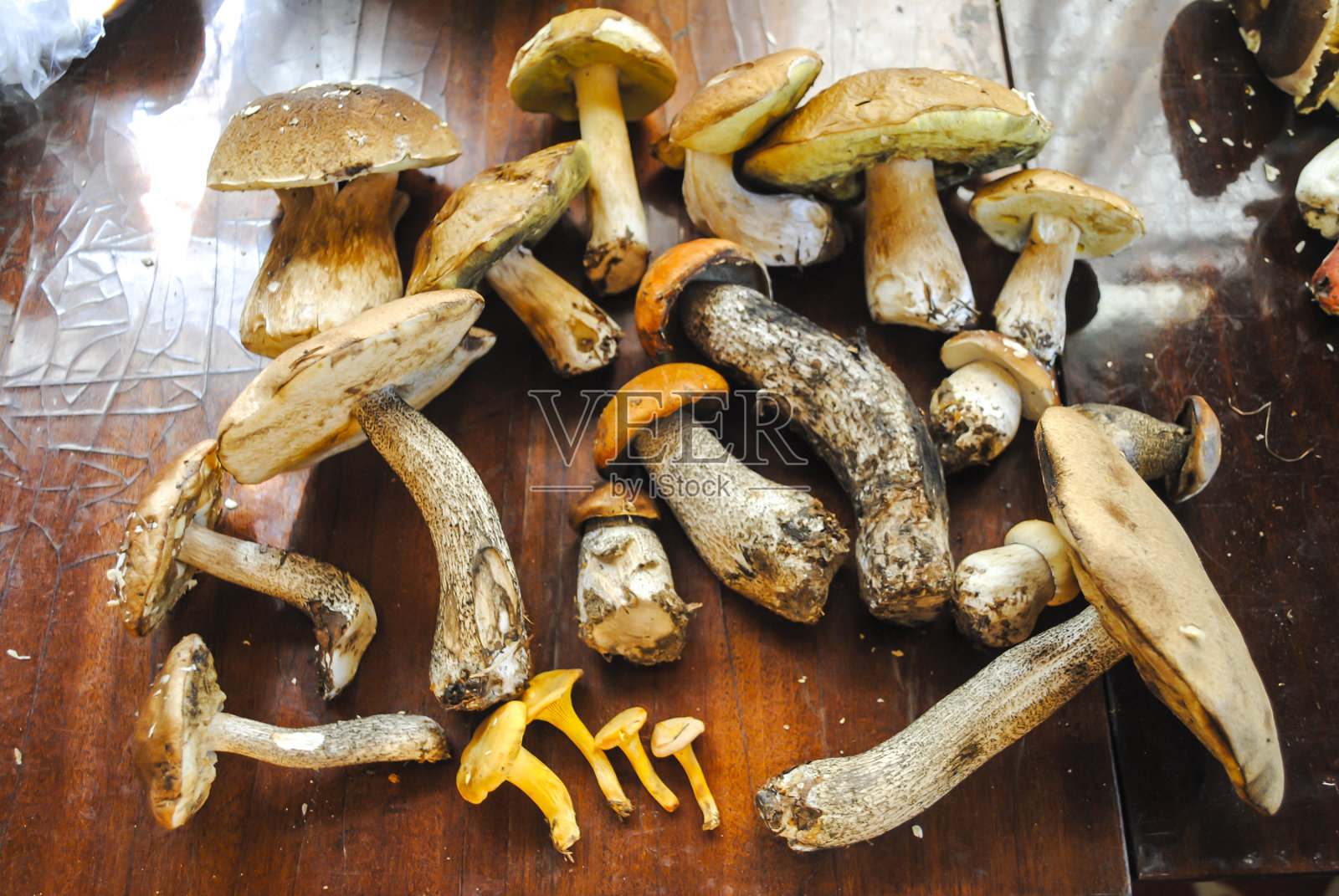 不同的牛肝菌，牛肝菌和鸡油菌躺在木桌的背景上照片摄影图片