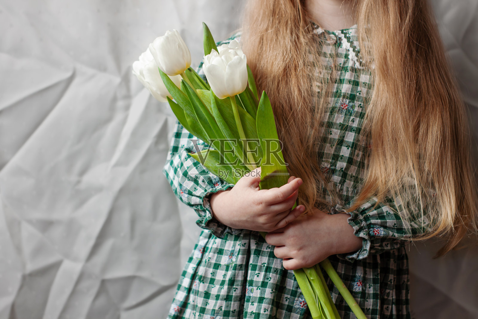 可爱的金发女孩手里拿着一束白色的郁金香没有脸。母亲节，春天的概念。穿着裙子的漂亮小孩照片摄影图片
