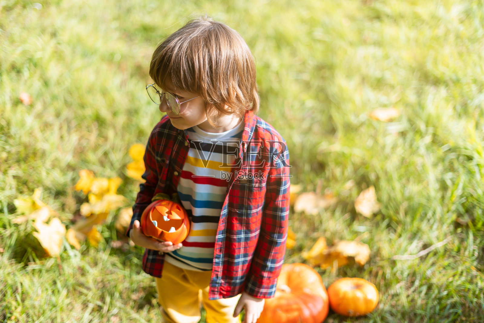可爱的小男孩戴着眼镜在万圣节的秋天公园玩南瓜。孩子们不给糖就捣蛋。有趣的在秋天。打扮的孩子照片摄影图片