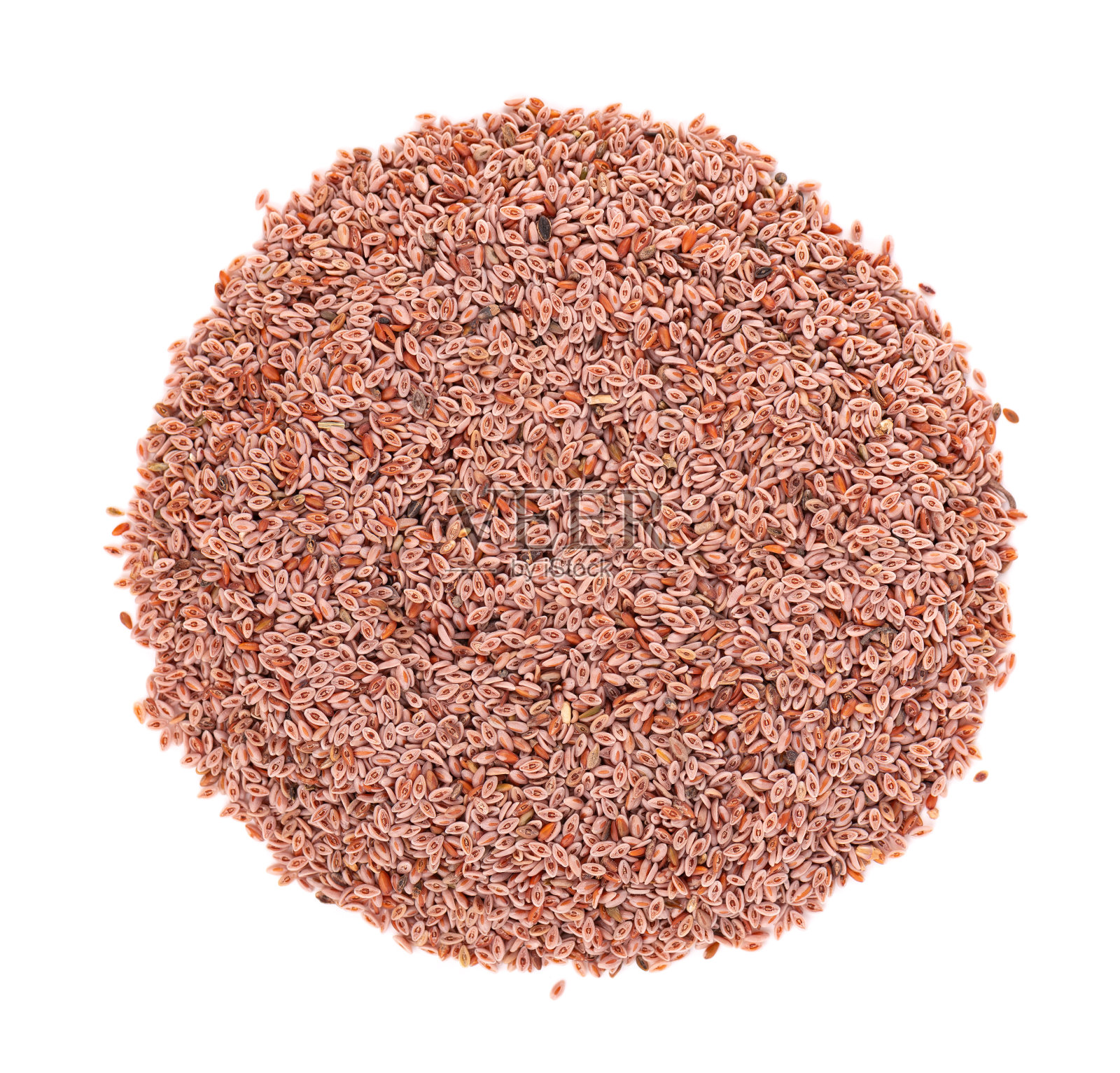 卵形车前草种子，孤立在白色背景上。车前草，印度跳蚤或车前草种子。前视图。照片摄影图片