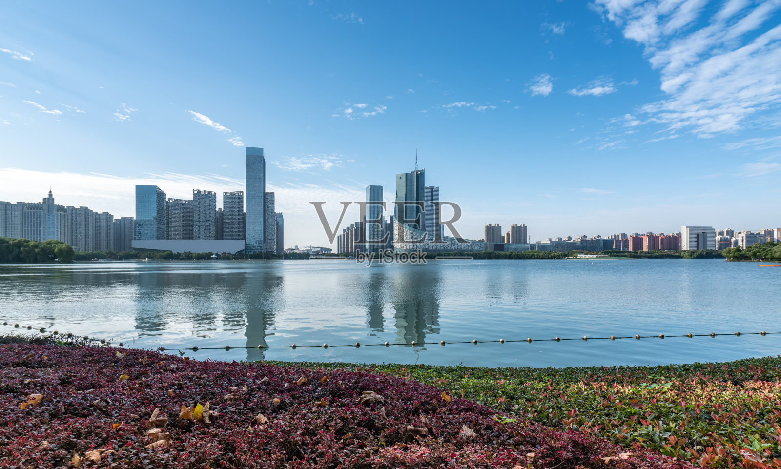 合肥现代建筑的天际线照片摄影图片