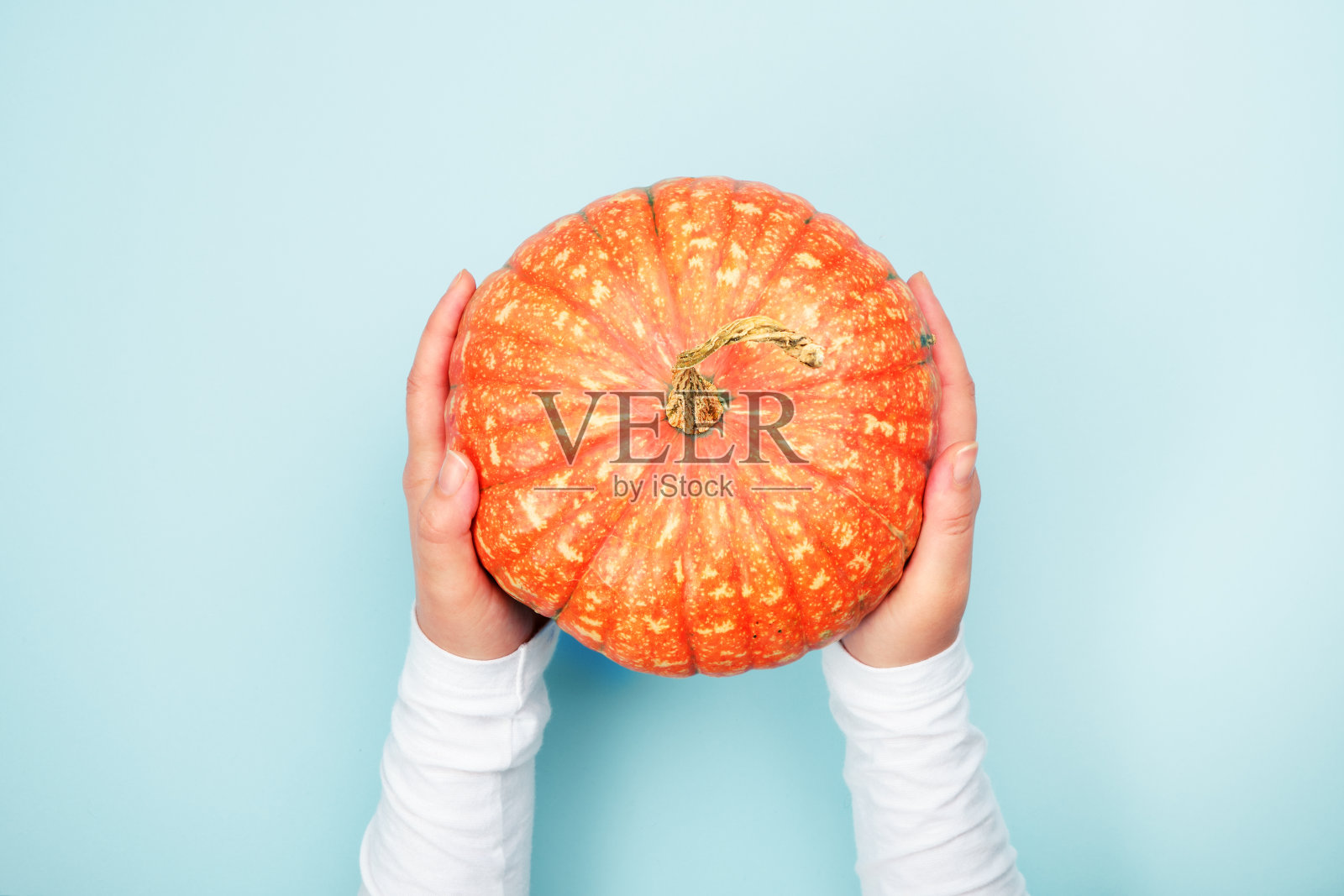 女人的手牵着熟橙南瓜照片摄影图片