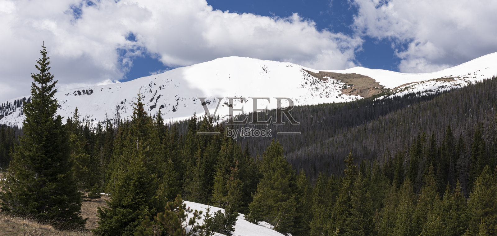 钻石峰位于科罗拉多州的罗斯福国家森林。照片摄影图片
