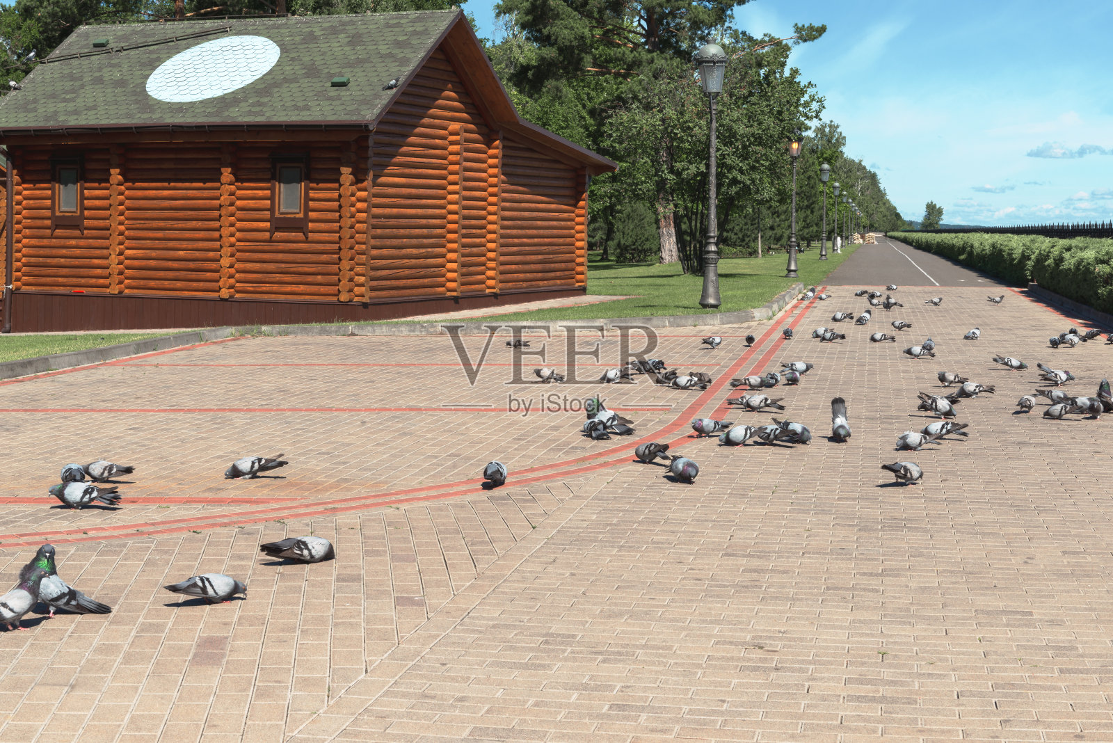 Mezhyhirya公园的碎片照片摄影图片