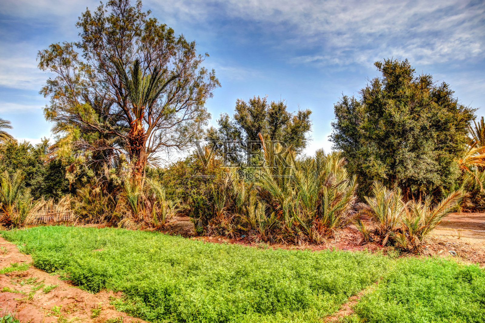摩洛哥斯库拉的乡村土坯砖和泥结构照片摄影图片