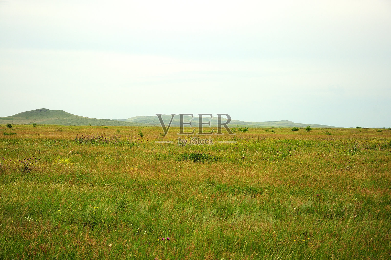 无边无际的大草原的边缘长满了青草的山峰。照片摄影图片